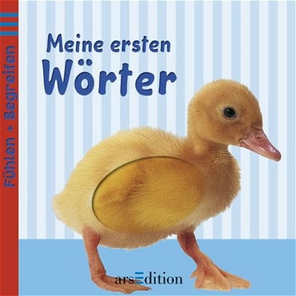 Meine ersten Wörter (Fühlen & Begreifen) Children's books