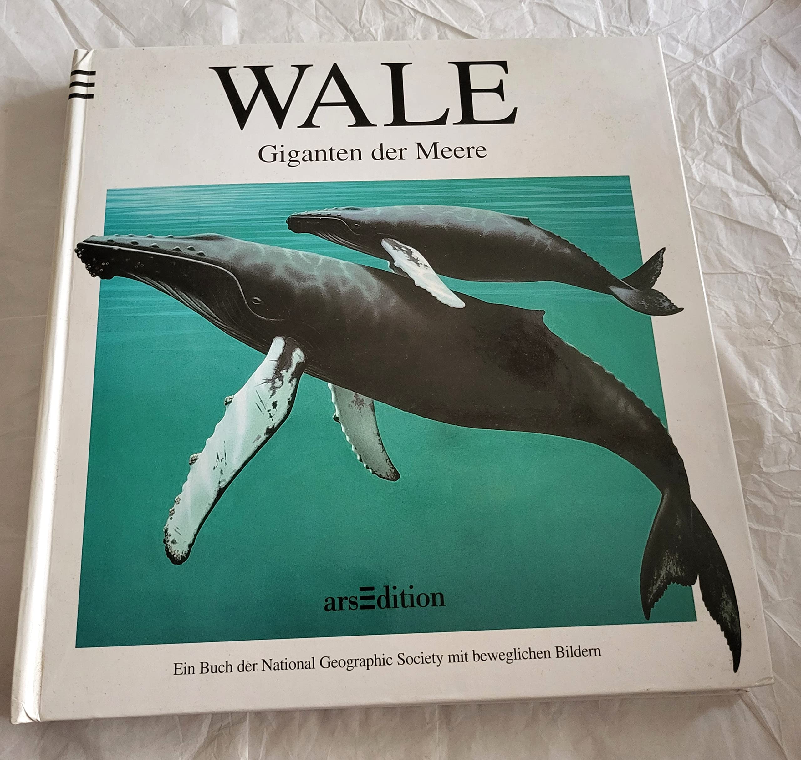 Wale - Giganten der Meere Books