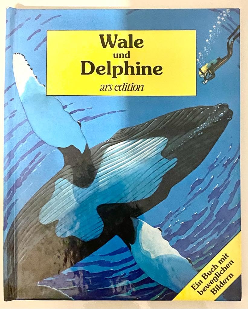 Wale und Delphine / POP-UP-Buch für das Erstlesealter Books
