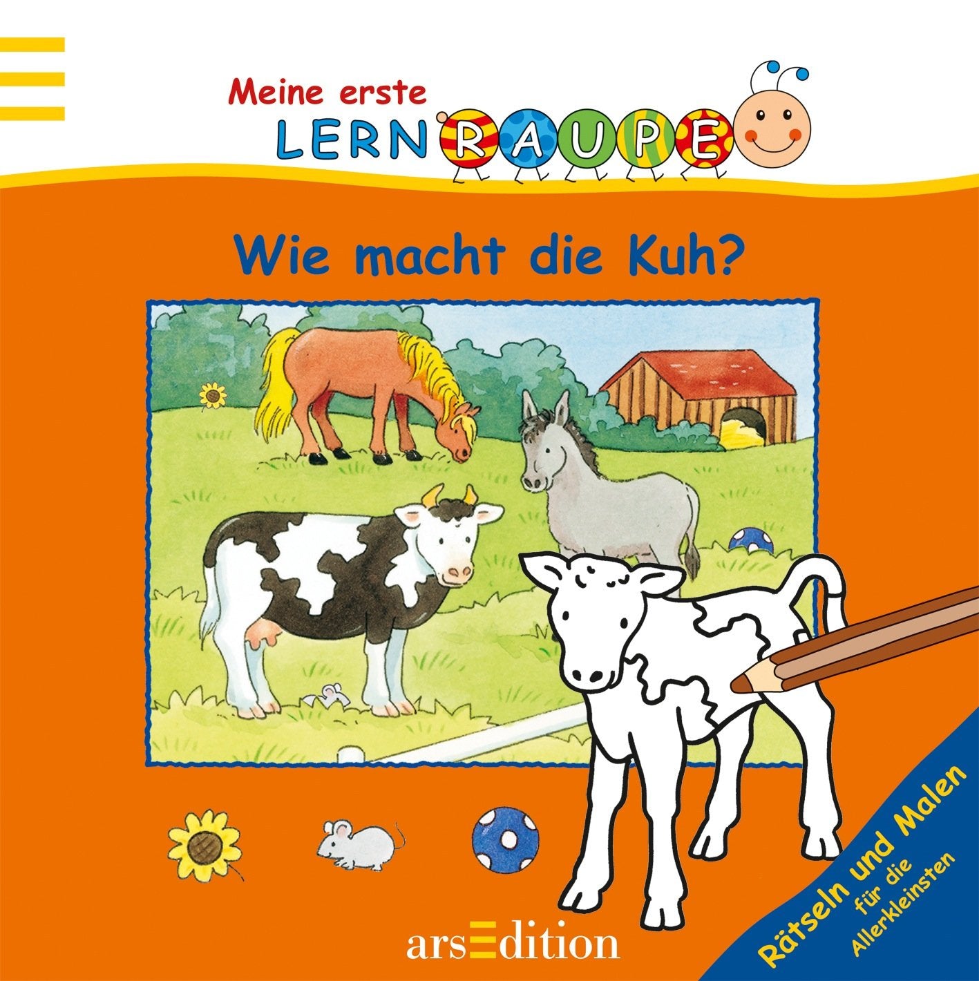 Lernraupe - Wie macht die Kuh?: Rätseln und Malen für die Allerkleinsten: Rätsel und Malen für die Allerkleinsten (Meine erste Lernraupe) Non-fiction