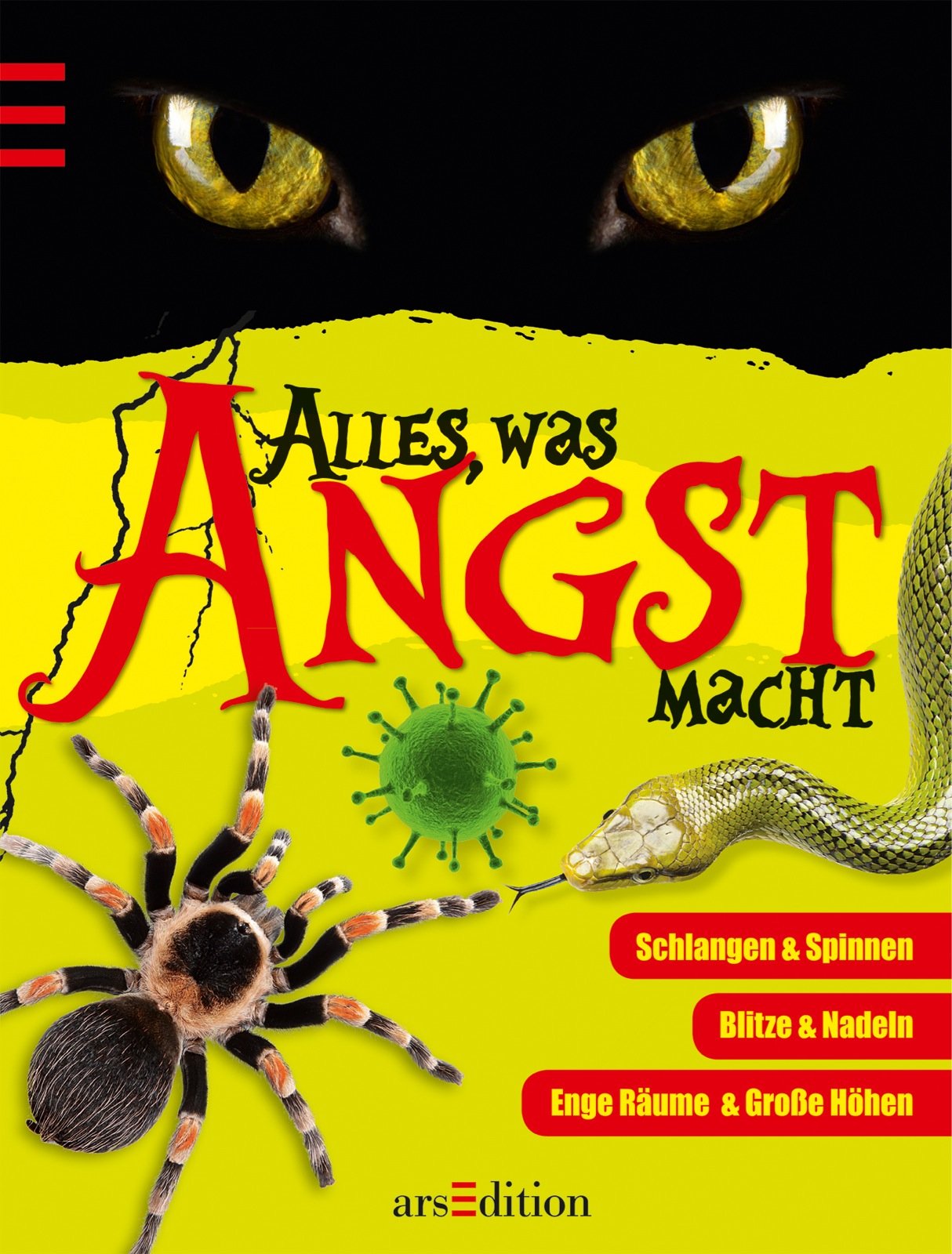 Alles, was Angst macht: Schlangen & Spinnnen; Blitze & Nadeln; Enge Räume & Große Höhen Health, Nutrition & Fitness