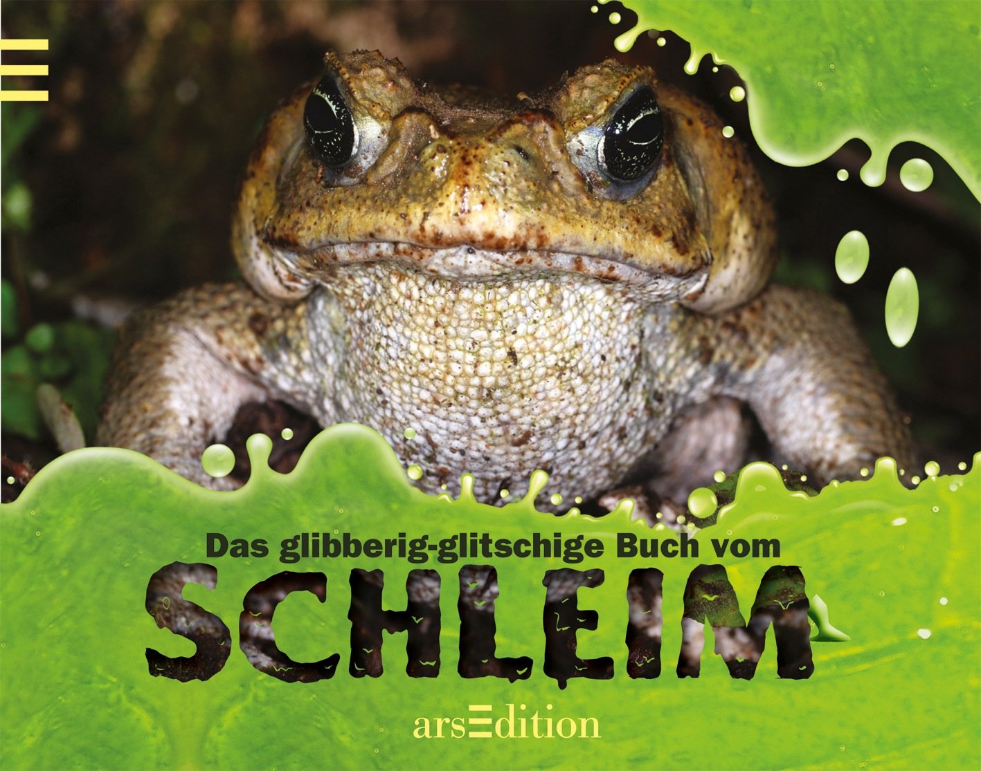 Das glibberig-glitschige Buch vom Schleim Non-fiction