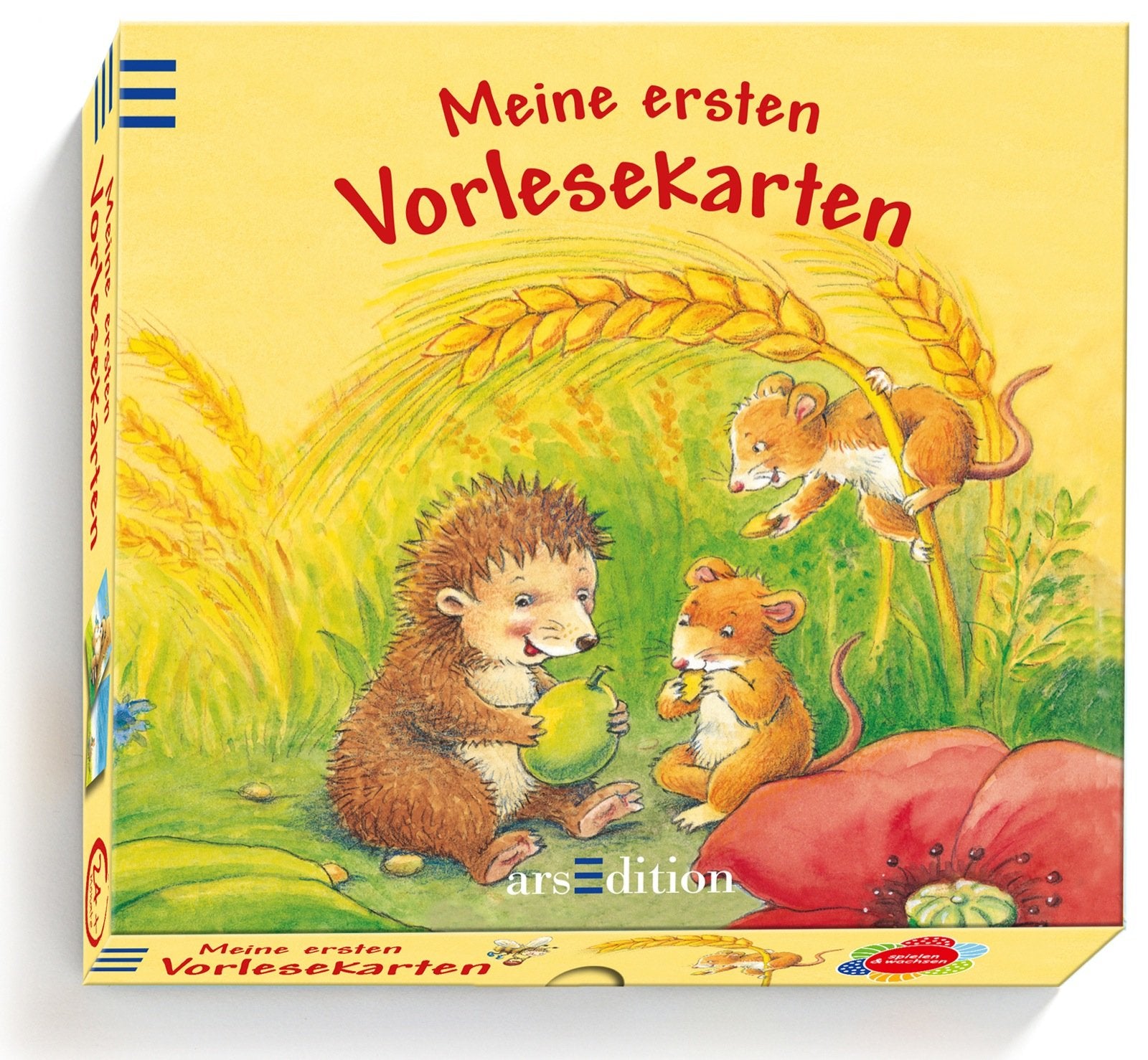 Product Image: Meine ersten Vorlesekarten (Vorlesekarten-Pappe)