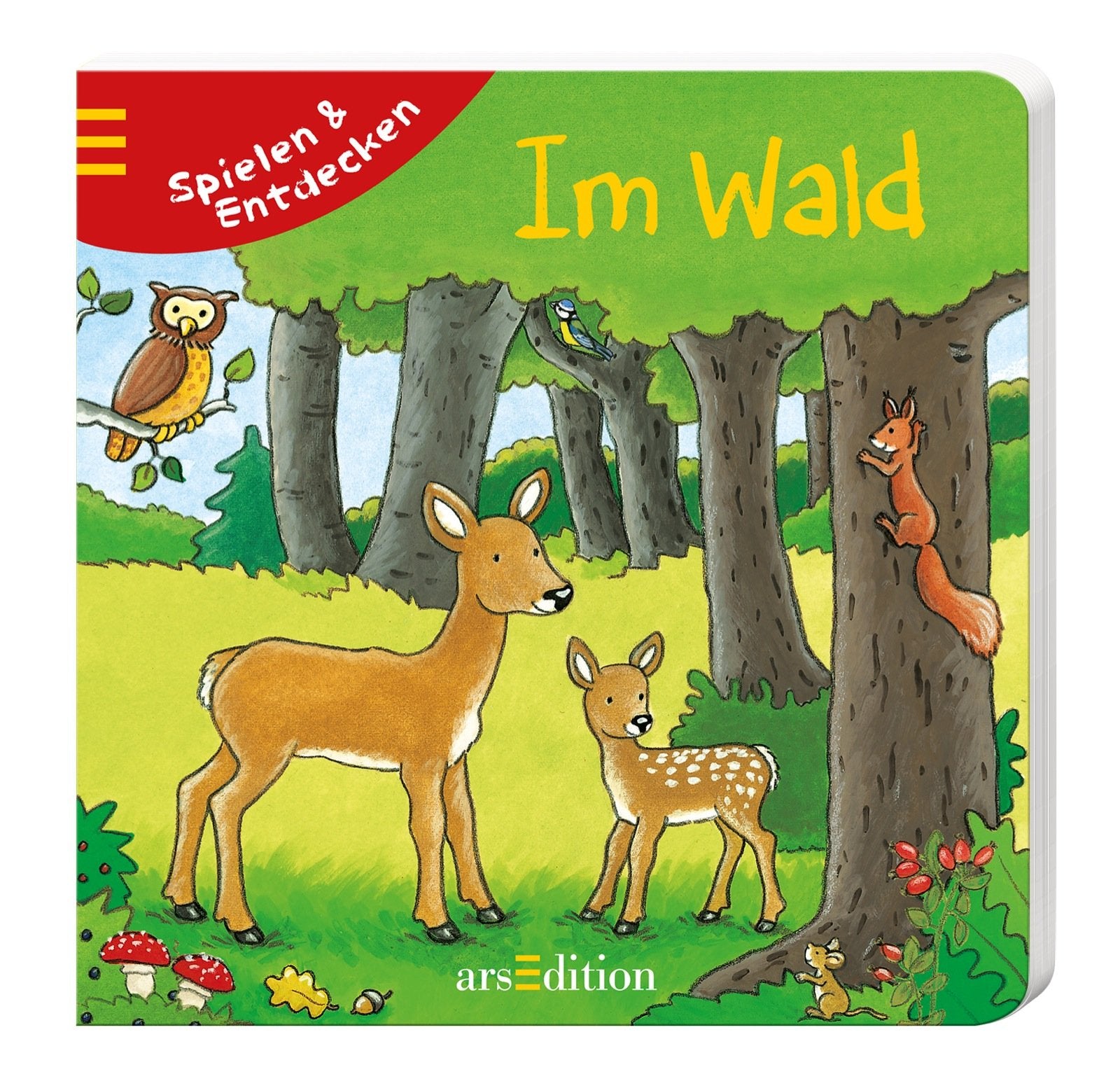 Product Image: Spielen und entdecken - Im Wald