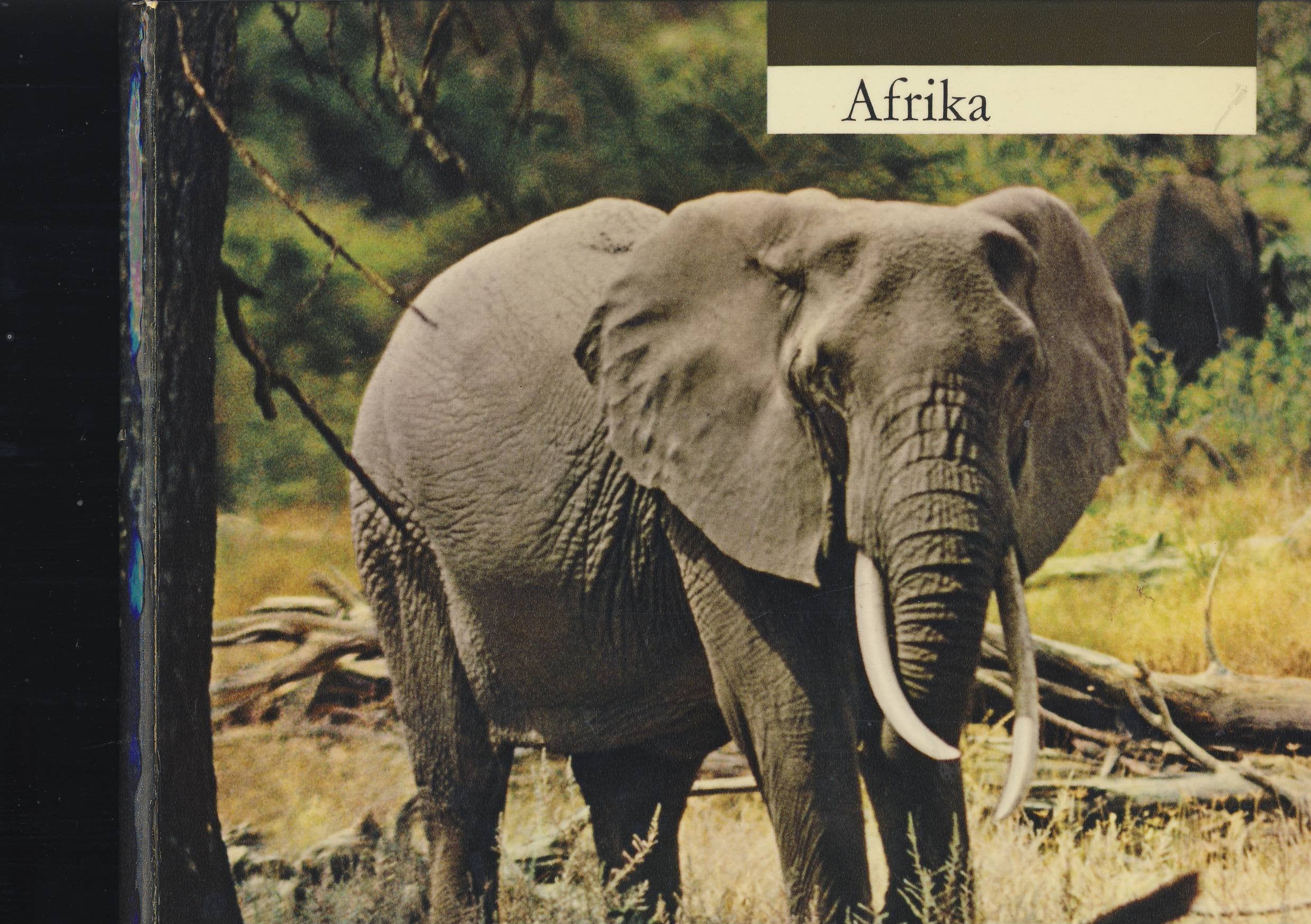 Afrika Travel