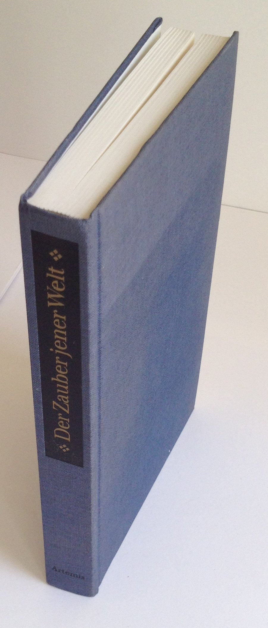 Der Zauber jener Welt. Erste Kindheitserinnerungen deutschsprachiger Schriftsteller Professional & Reference Books