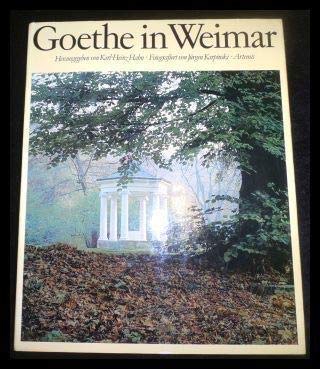 Goethe in Weimar. Ein Kapitel deutscher Kulturgeschichte Professional & Reference Books