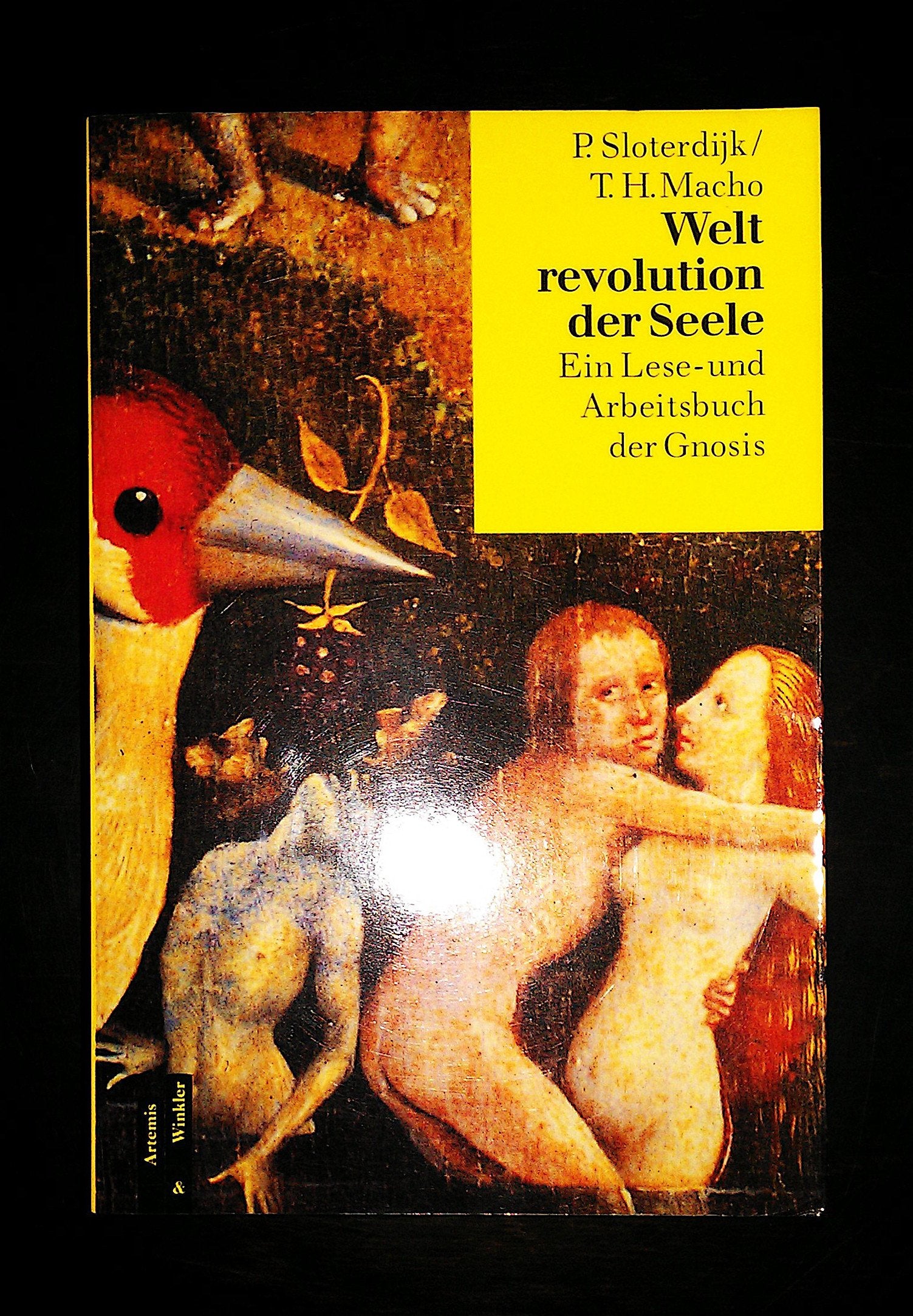 Weltrevolution der Seele: Ein Lese- und Arbeitsbuch der Gnosis Books
