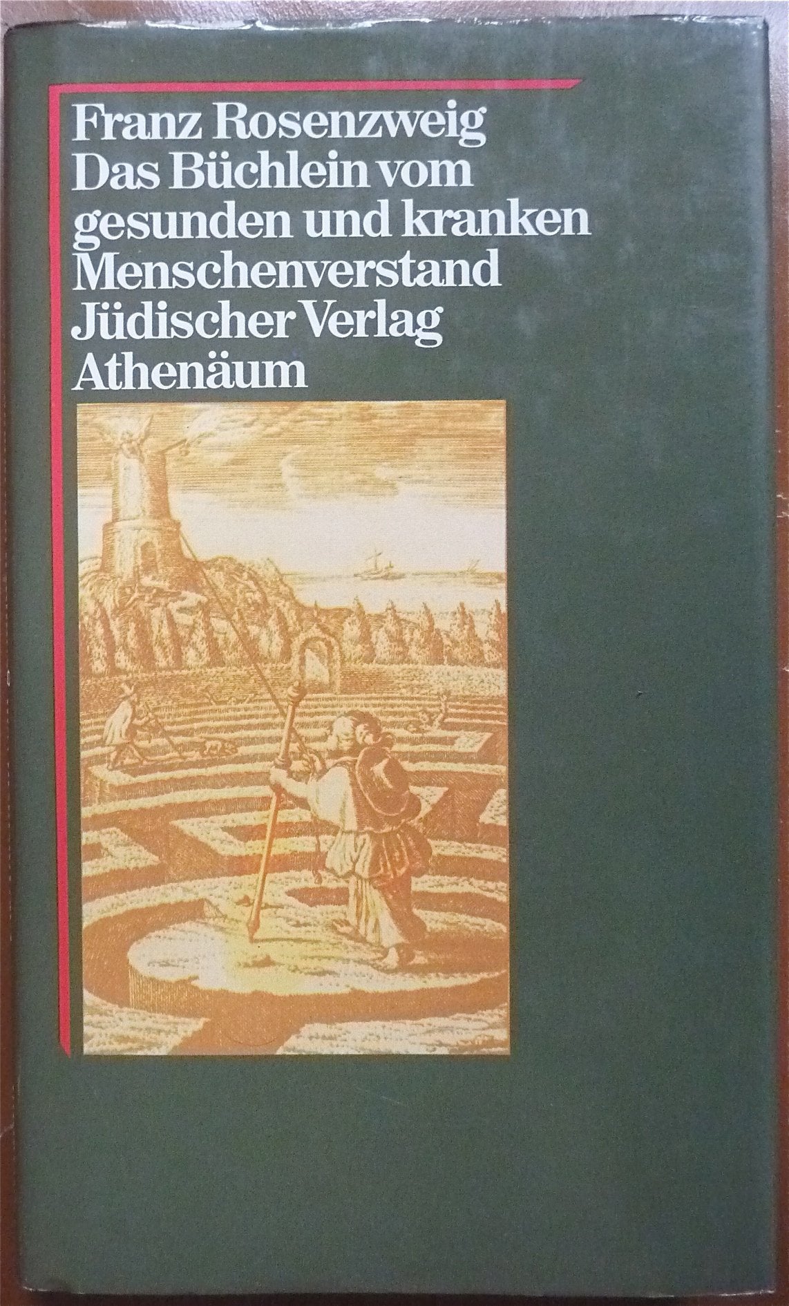 Das Büchlein vom gesunden und vom kranken Menschenverstand Religion & Esotericism