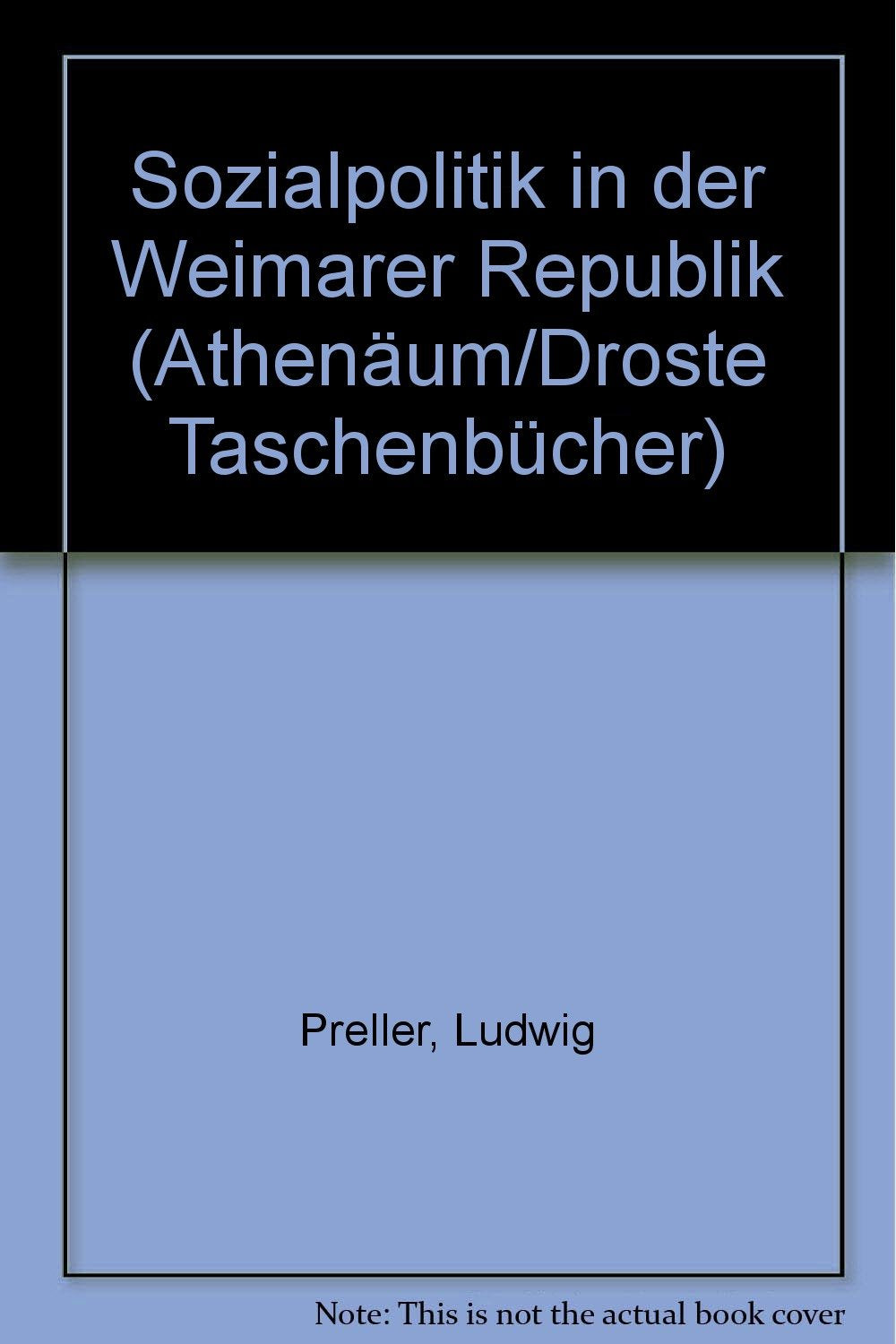 Sozialpolitik in der Weimarer Republik. Books