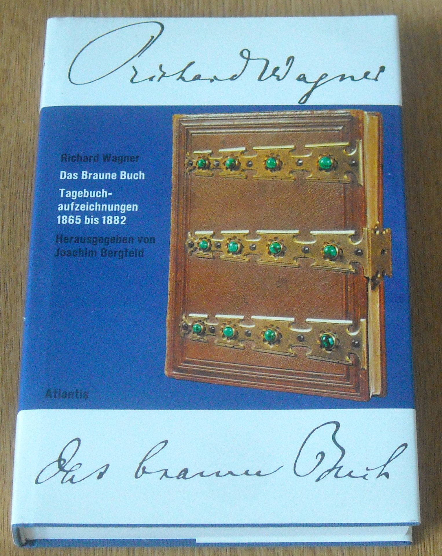 Das braune Buch - Tagebuchaufzeichnungen 1865 bis 1882 Books