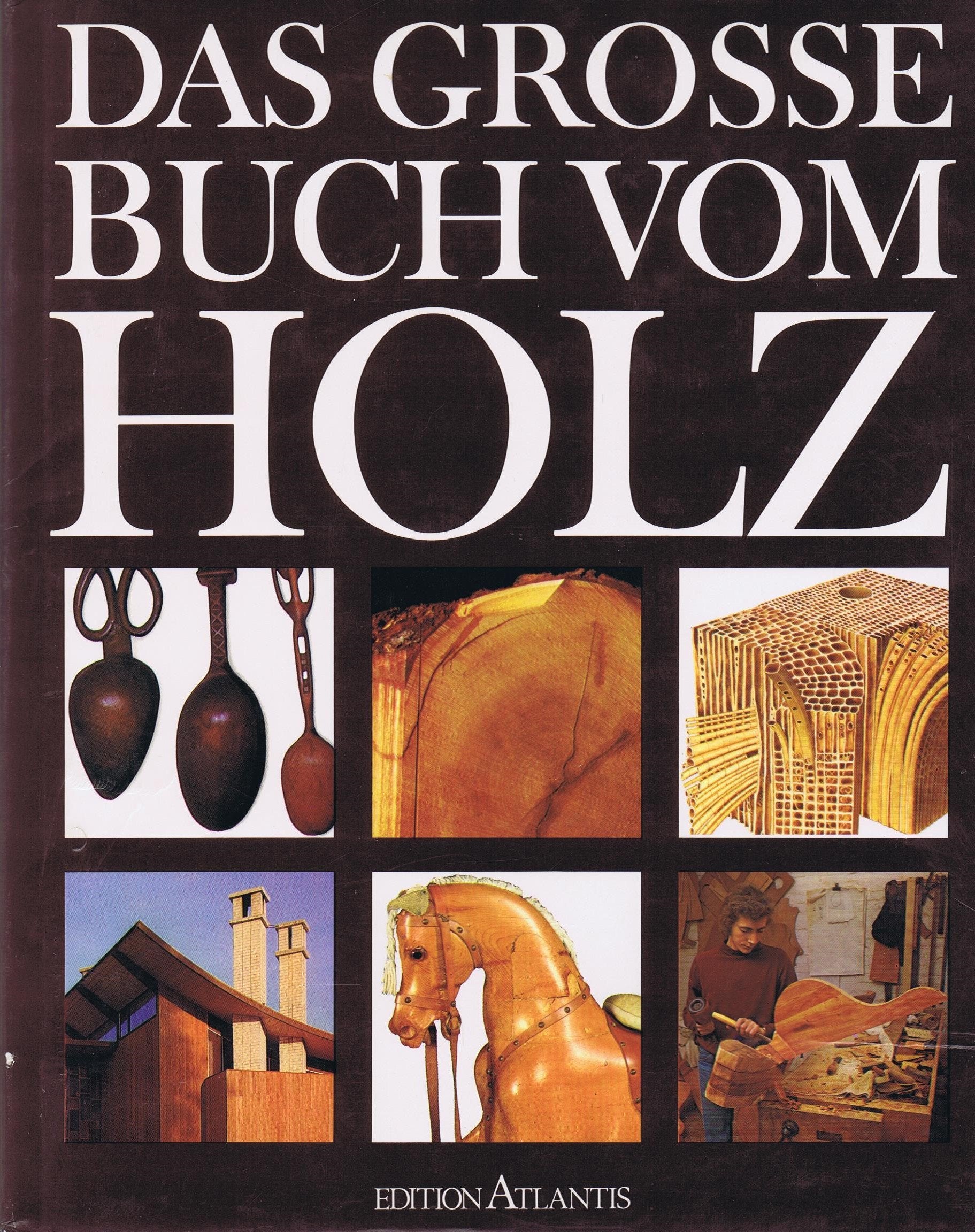 Das grosse Buch vom Holz Architecture Books