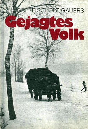 Gejagtes Volk. Eine Familienchronik aus Schlesiens schwerster Zeit Politics & History