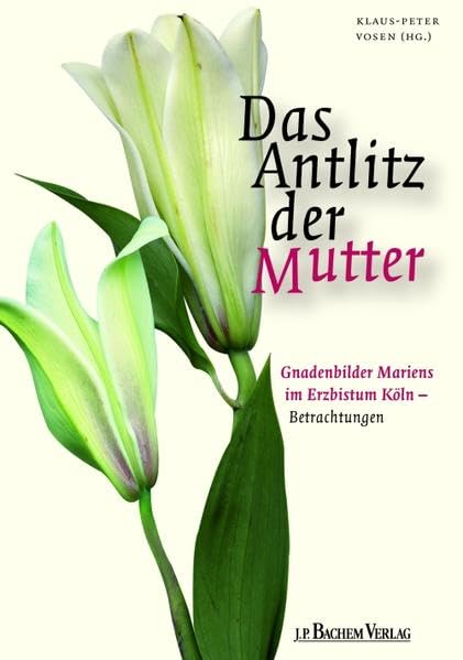 Das Antlitz der Mutter: Gnadenbilder Mariens im Erzbistum Köln – Betrachtungen Religion & Esotericism
