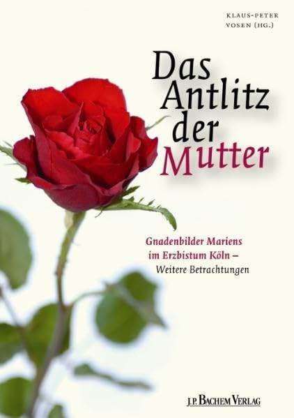 Antlitz der Mutter 02: Gnadenbilder Mariens im Erzbistum Köln - weitere Betrachtungen Religion & Esotericism