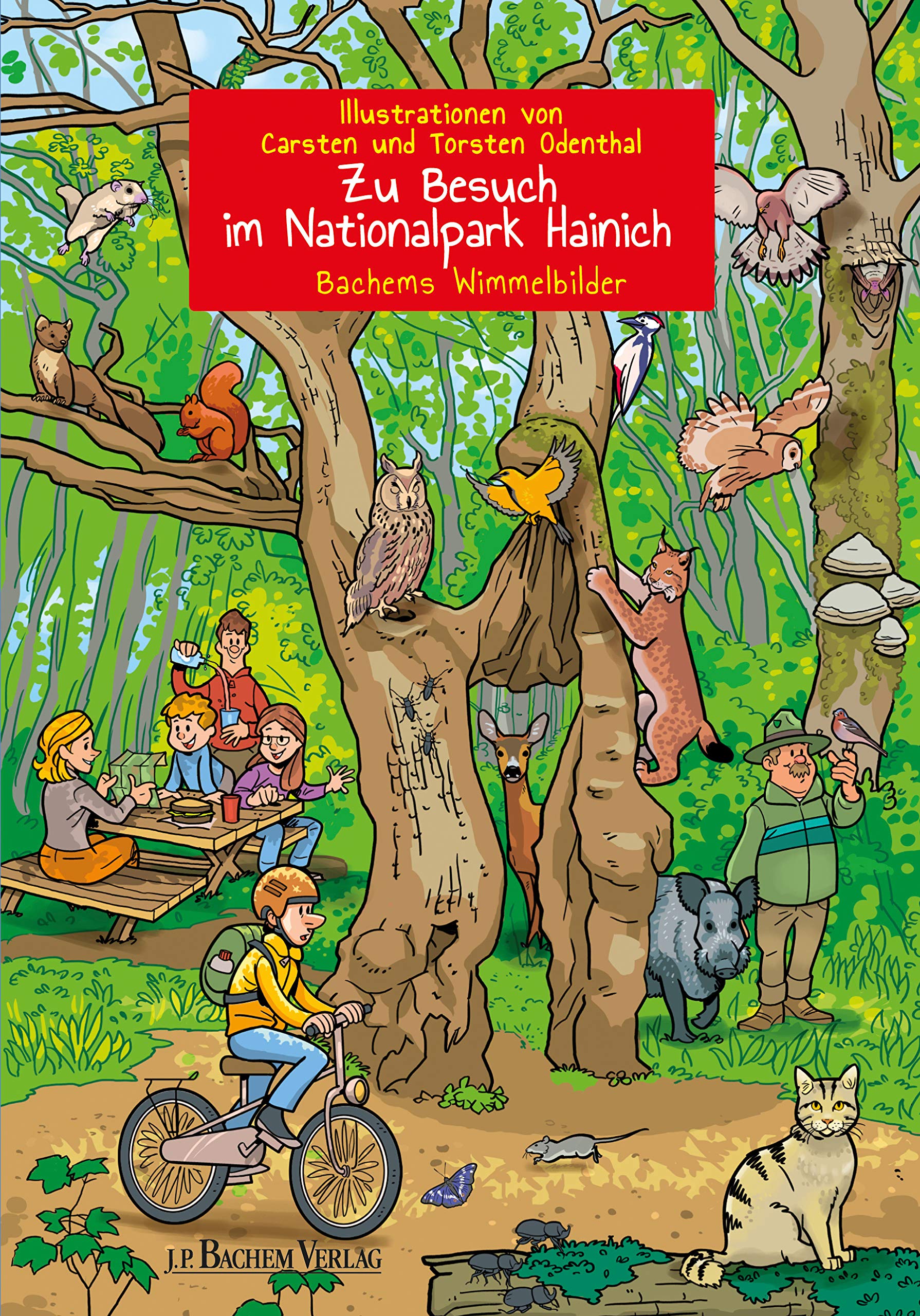 Zu Besuch im Nationalpark Hainich: Bachems Wimmelbilder Tiptoi & Games