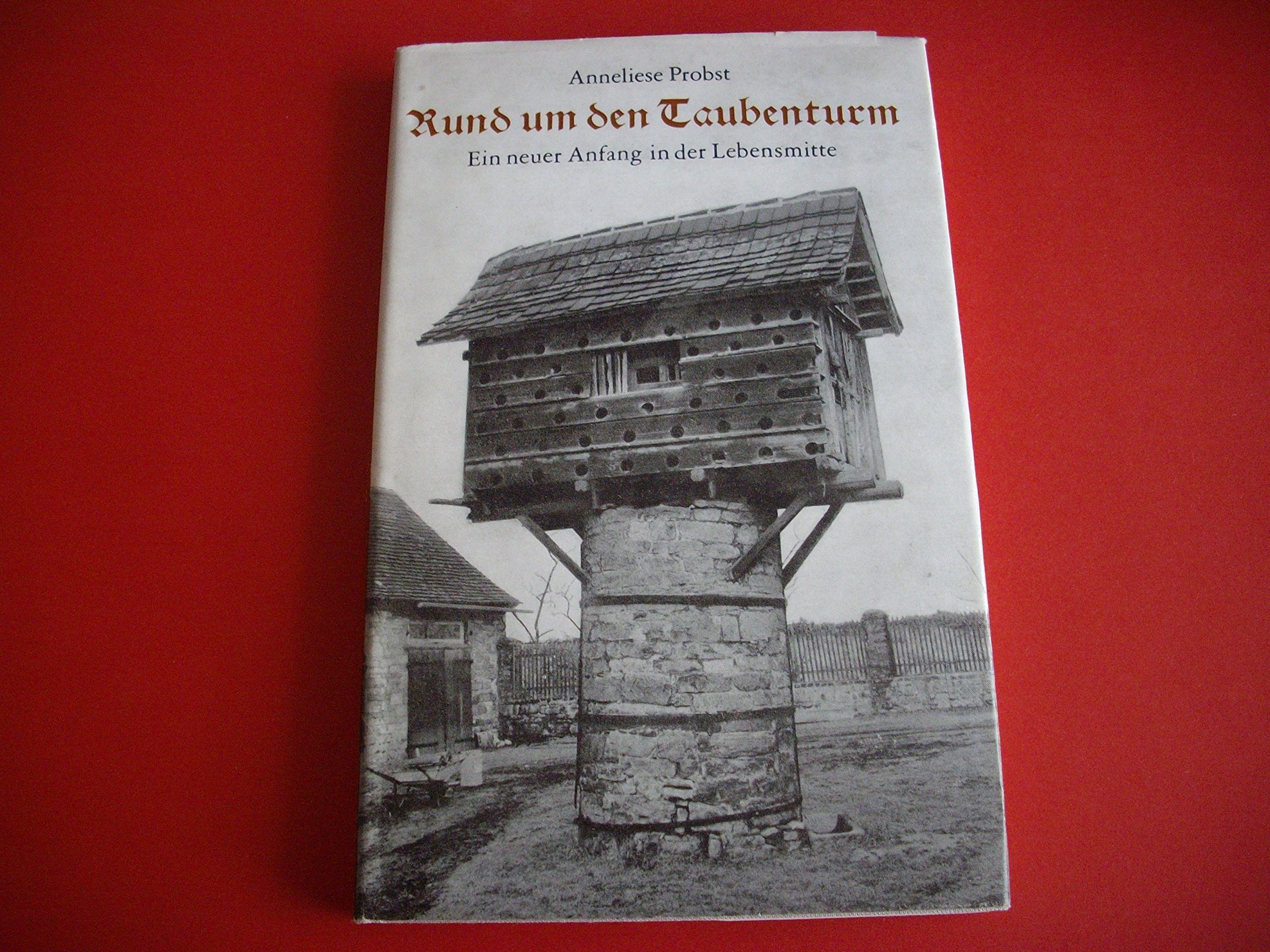 Rund um den Taubenturm. Ein neuer Anfang in der Lebensmitte Religion & Esotericism