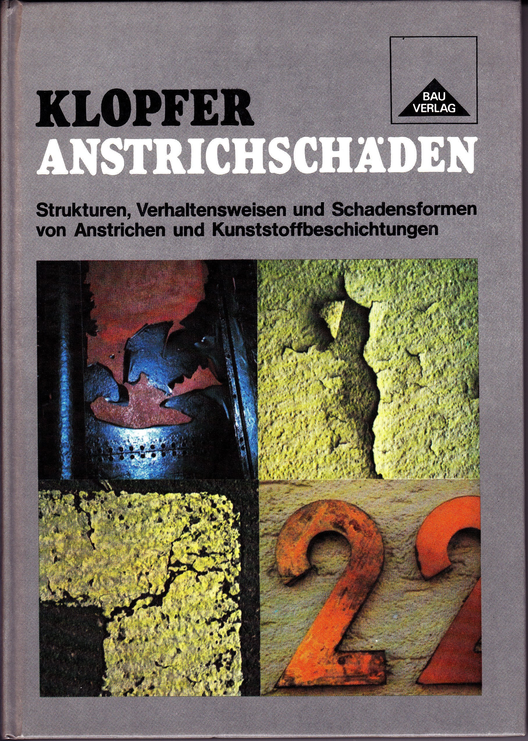 Anstrichschäden: Strukturen, Verhaltensweisen und Schadensformen von Anstrichen und Kunststoffbeschichtungen Books