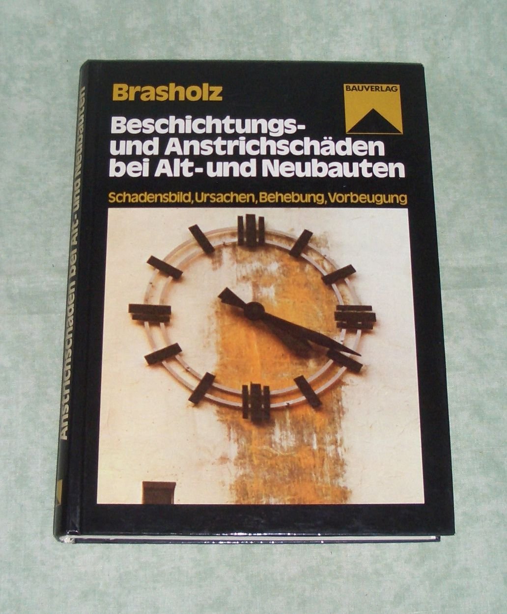 Beschichtungs- und Anstrichschäden bei Alt- und Neubauten: Schadensbild. Ursache, Behebung, Vorbeugung Business & Technology