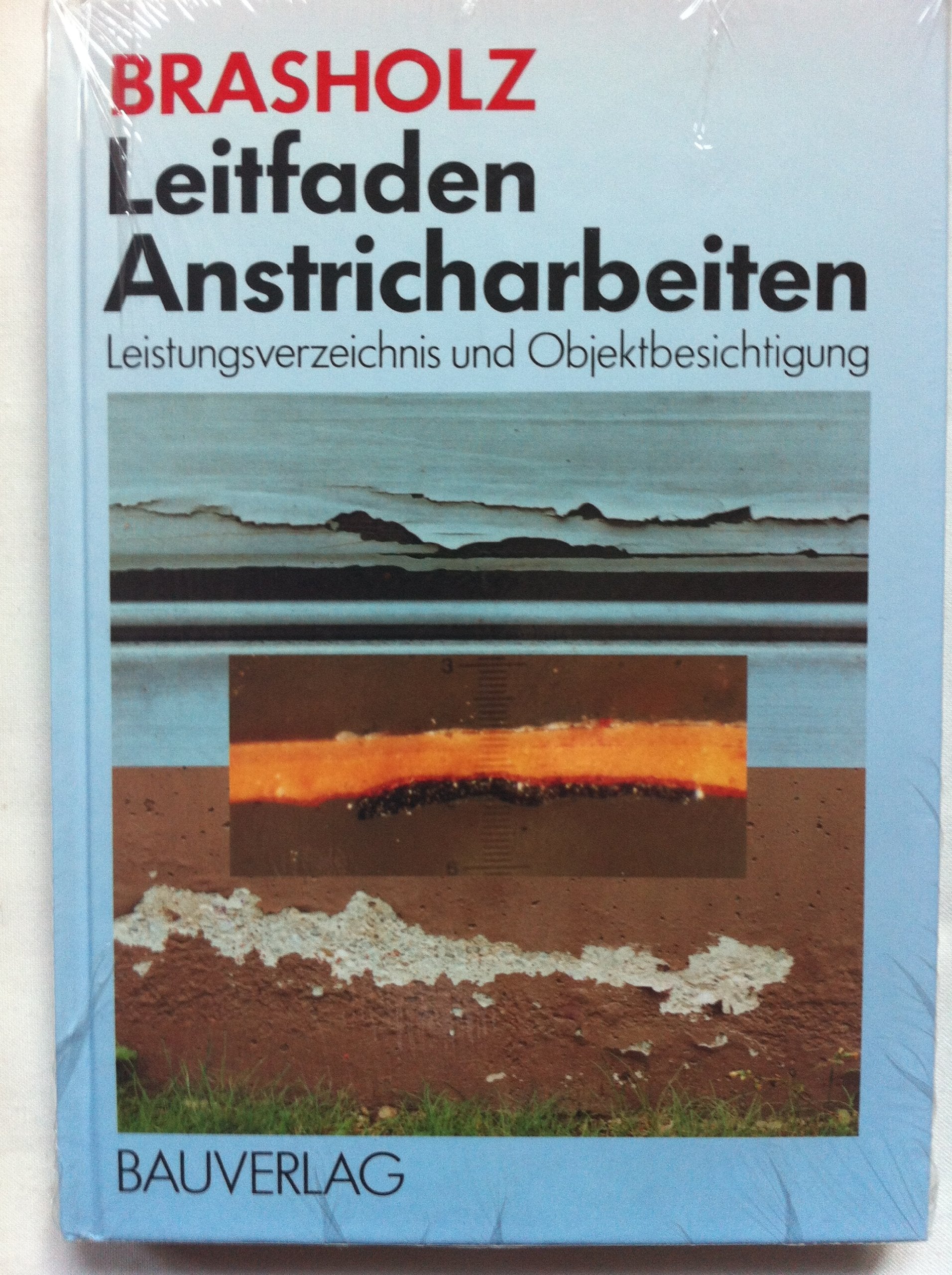 Leitfaden Anstricharbeiten: Leistungsverzeichnis und Objektbesichtigung Business, Finance & Career