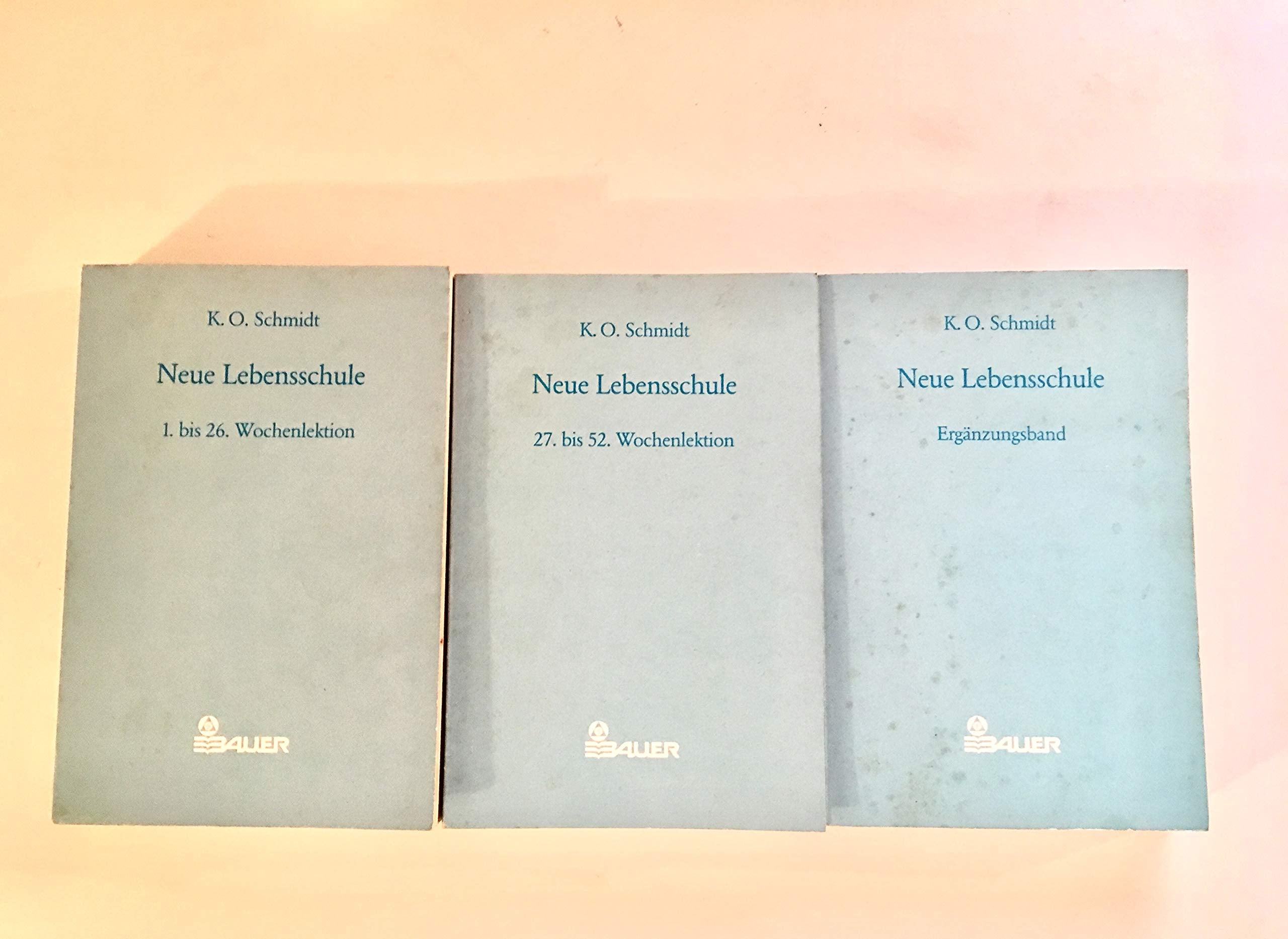 Neue Lebensschule. Ein Jahresplan der Lebens- und Erfolgsbemeisterung Psychology