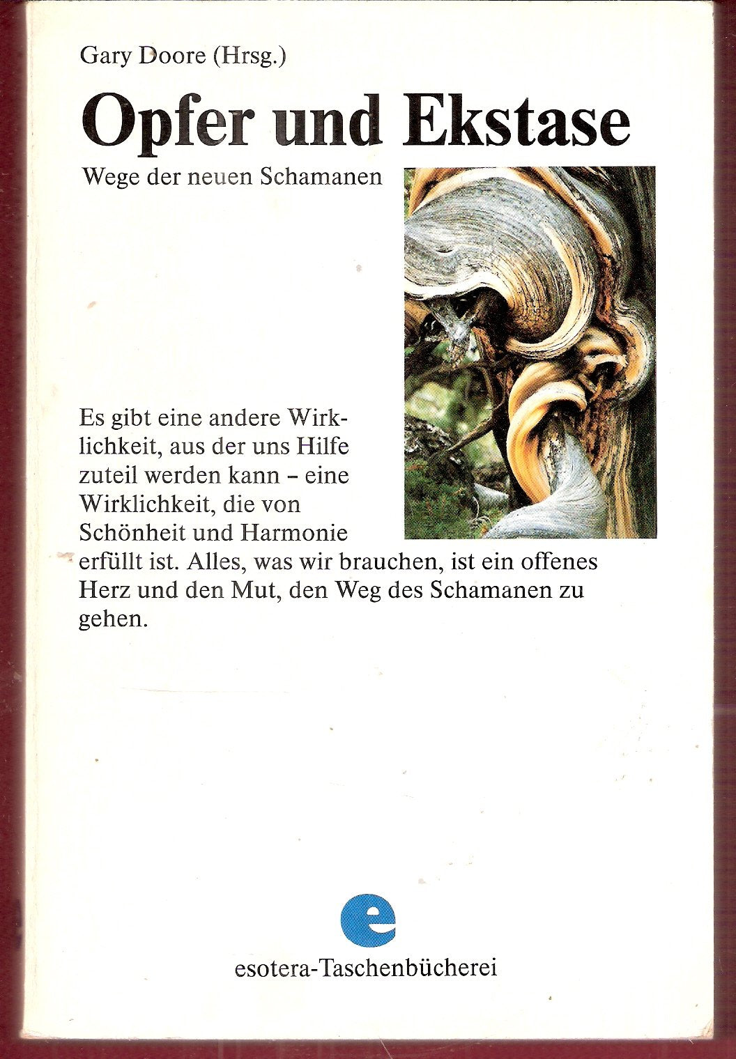 Opfer und Ekstase. Wege der neuen Schamanen Religion & Esotericism