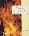 Kraftquelle Schamanismus Lifestyle