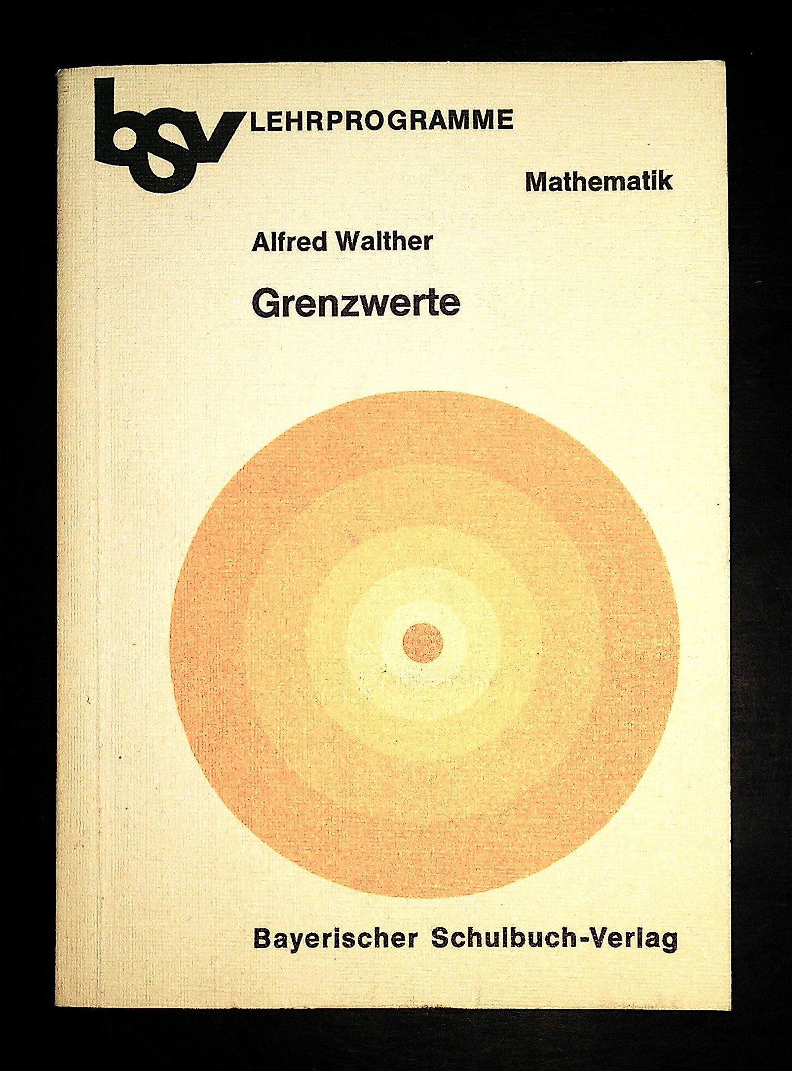 bsv Lernprogramme Mathematik / Grenzwerte Books