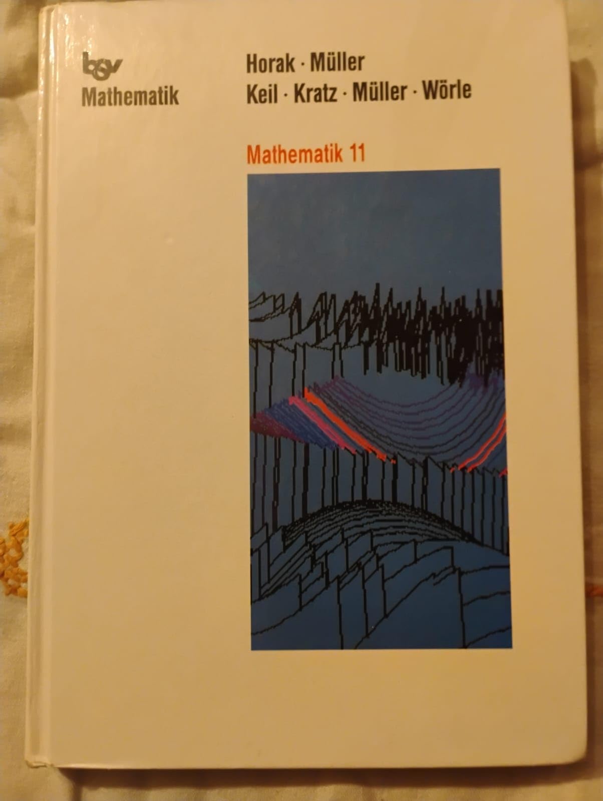 Mathematik 11 für Gymnasien in Baden-Württemberg Learning & Reference