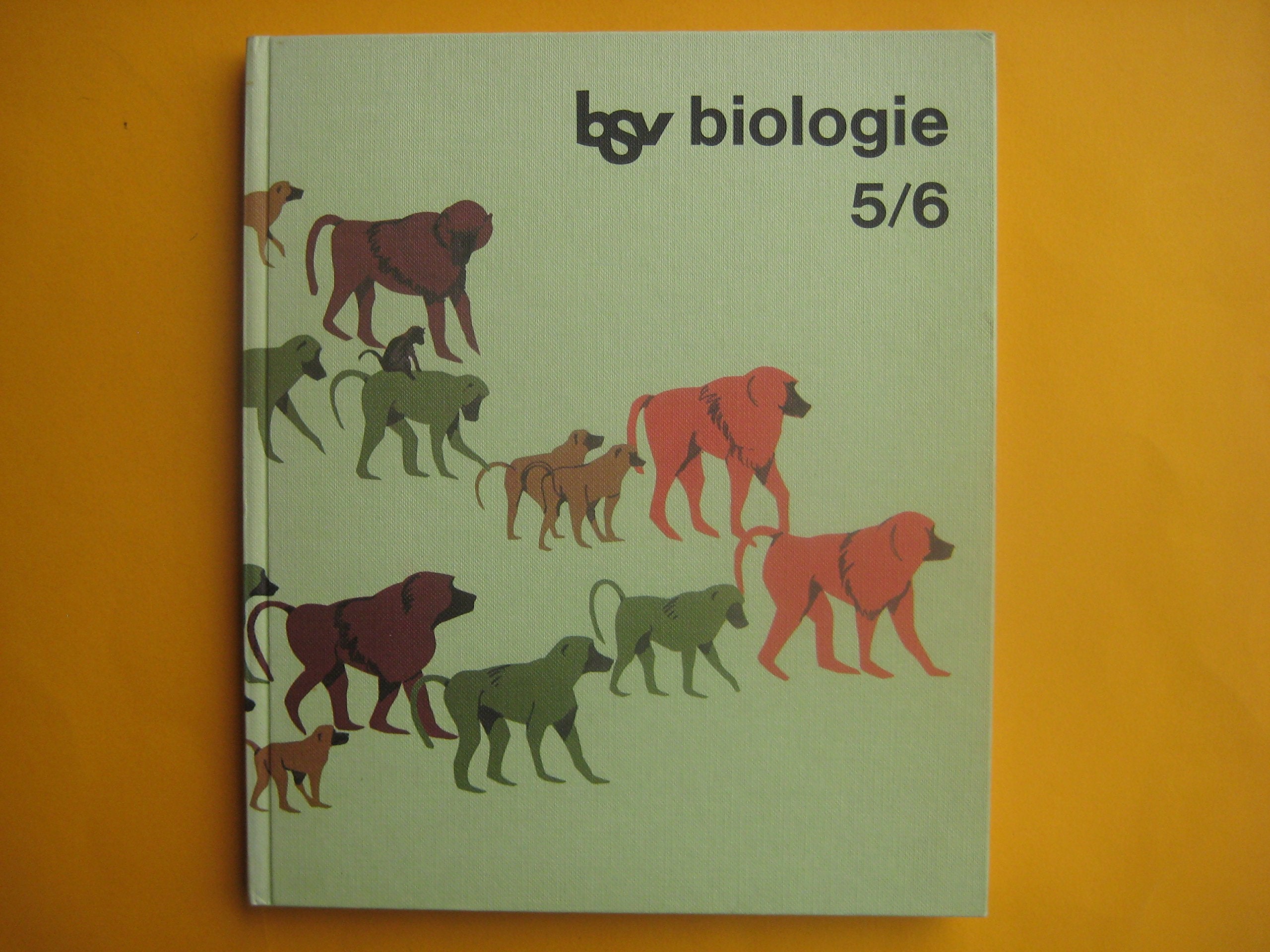 bsv Biologie: Für die 5./6. Jahrgangsstufe. Schülerbuch Books