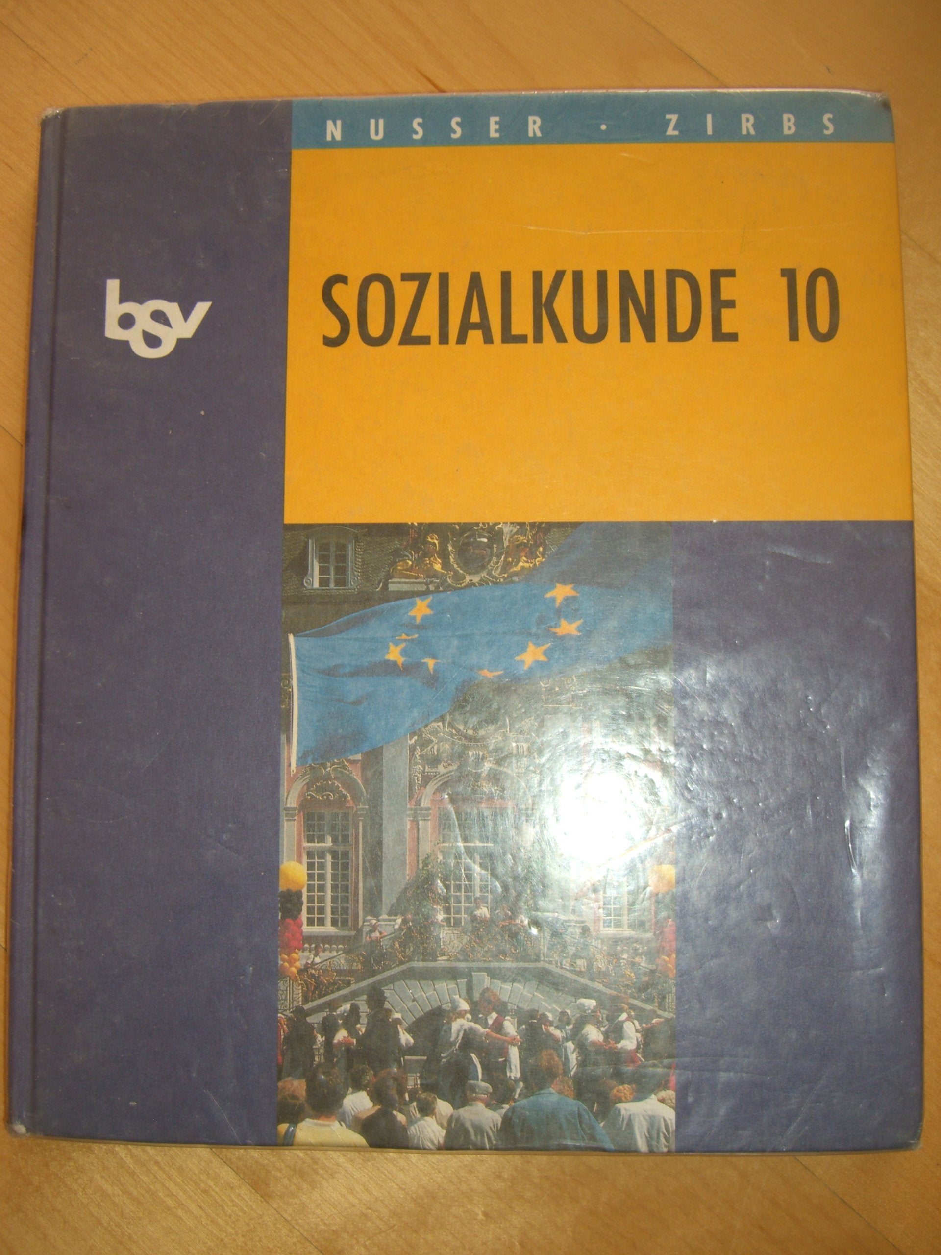 bsv Sozialkunde. Ausgabe Bayern. 10. Jahrgangsstufe. Arbeitsbuch Books