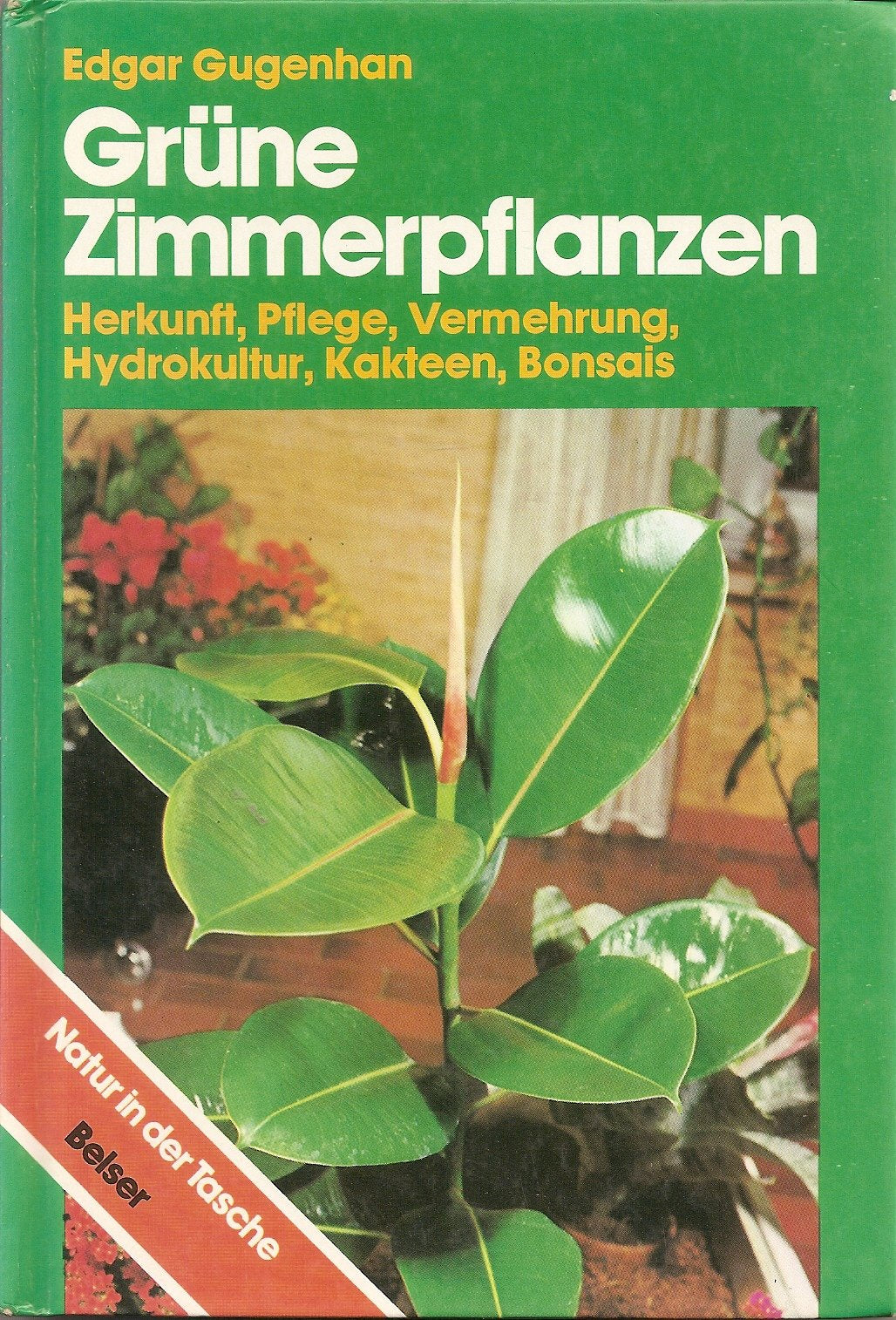 Grüne Zimmerpflanzen. Herkunft, Pflege, Vermehrung, Hydrokultur, Kakteen, Bonsais Books