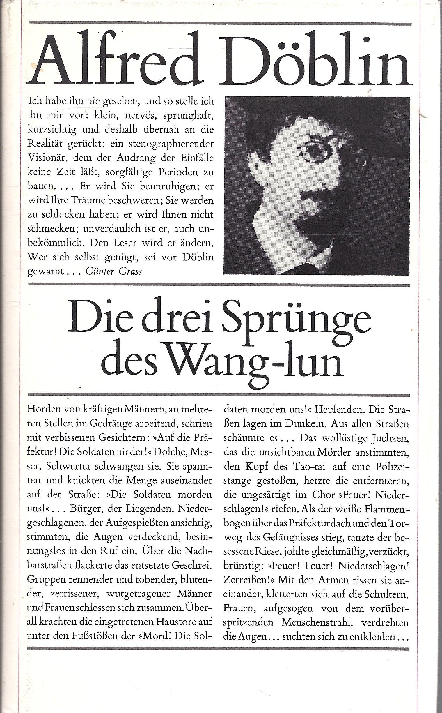 Die drei Sprünge des Wang-Lun Books