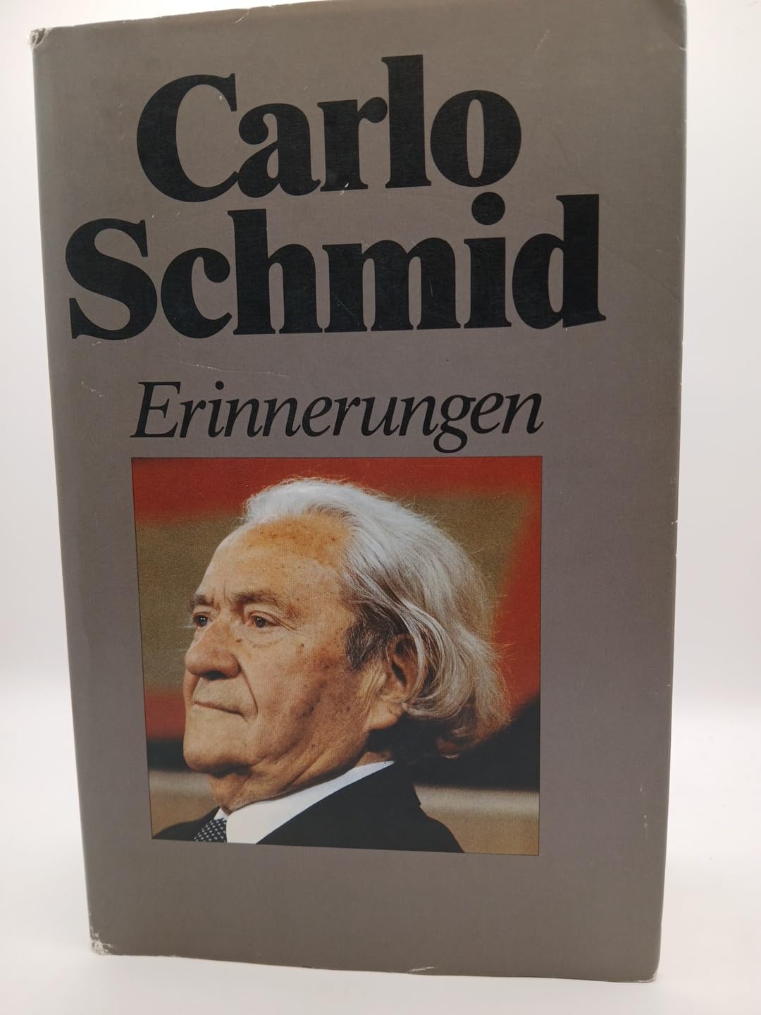 Erinnerungen Politics & Society Books