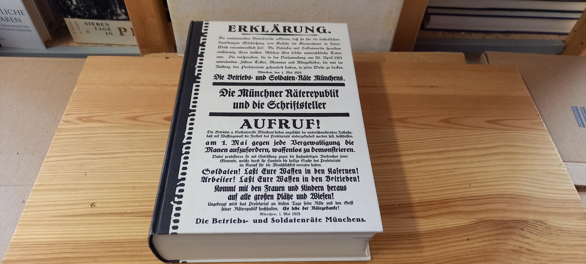 Literaten an der Wand. Die Münchner Räterepublik und die Schriftsteller Books
