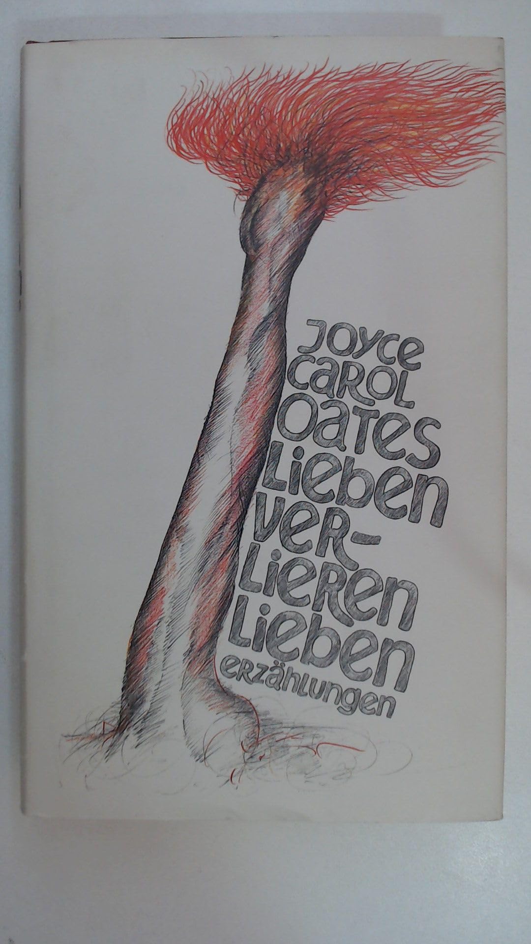 Lieben verlieren lieben - Erzählungen Contemporary literature