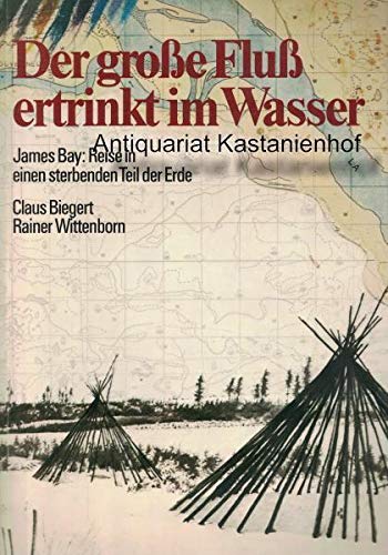 Im Schatten ihrer Männer : Roman Books