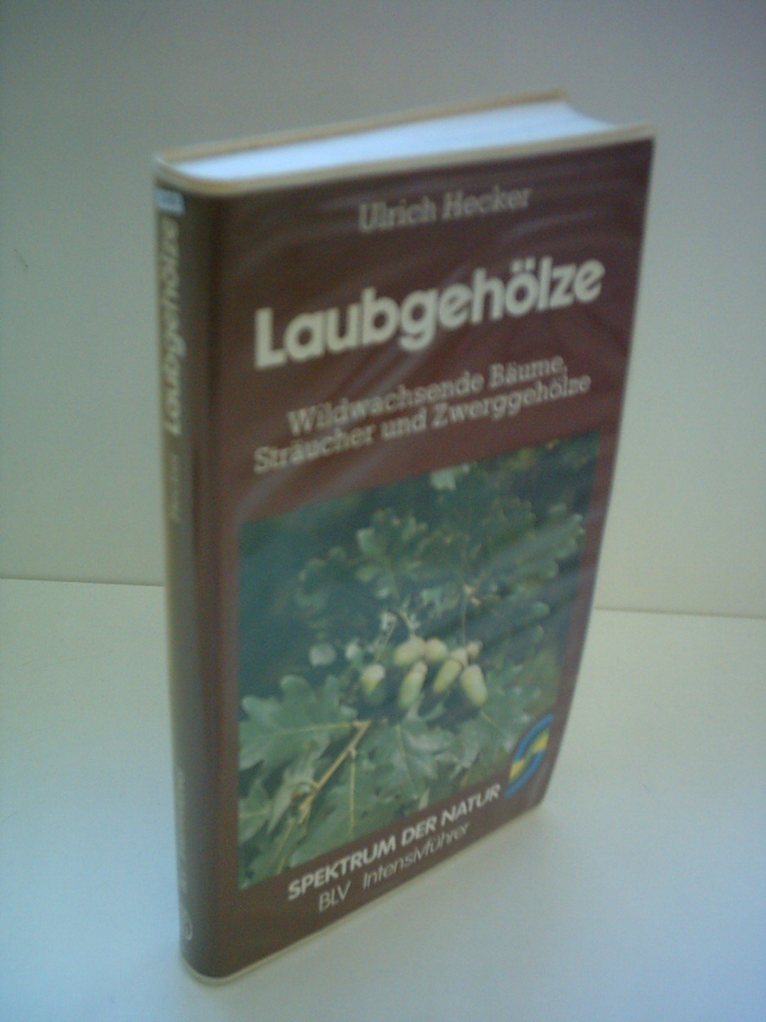 Ulrich Hecker: Laubgehölze - Wildwachsende Bäume, Sträucher und Zwerggehölze Books