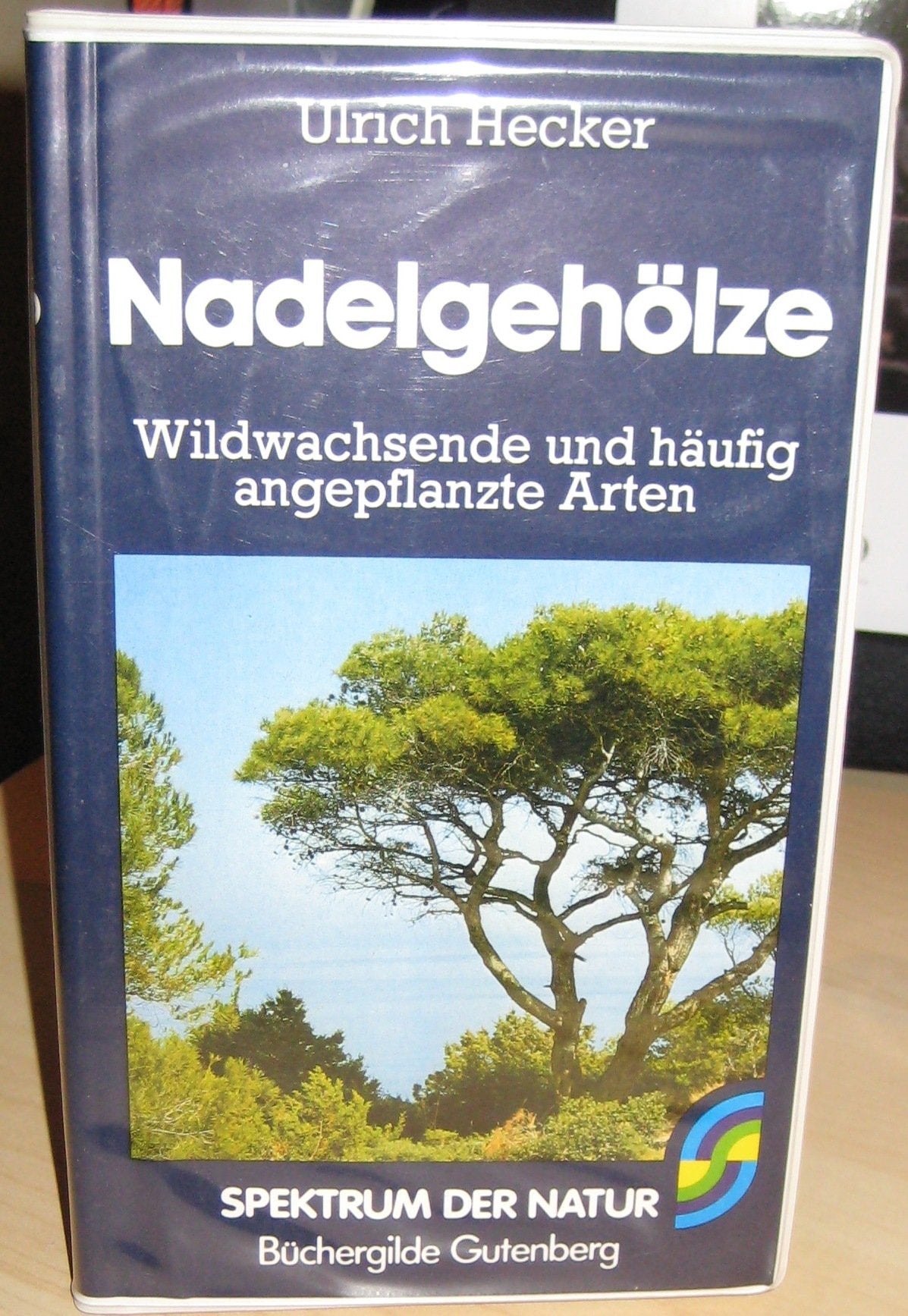 Nadelgehölze - Wildwachsende und häufig angepflanzte Arten Books