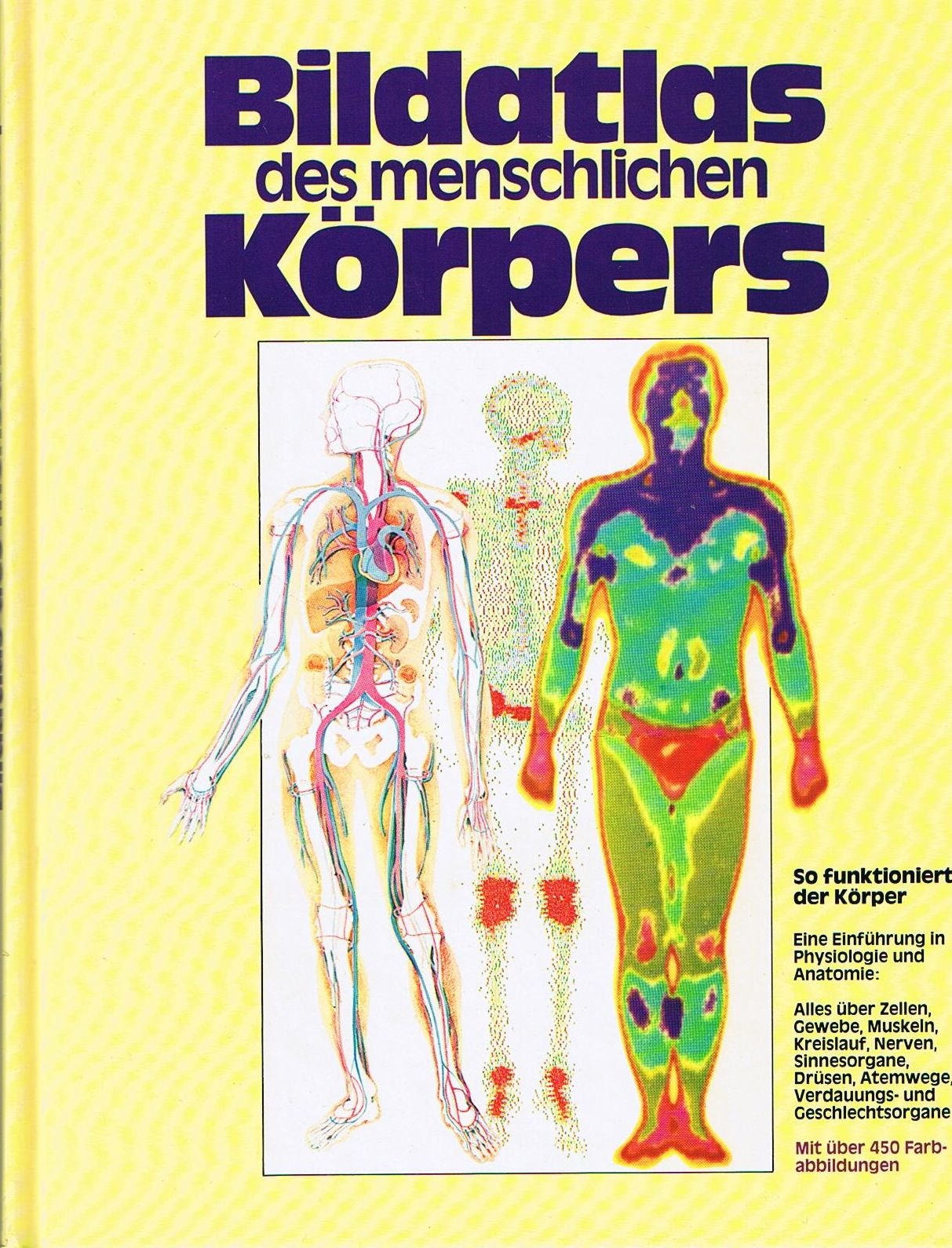 Bilderatlas des menschlichen Körpers Books