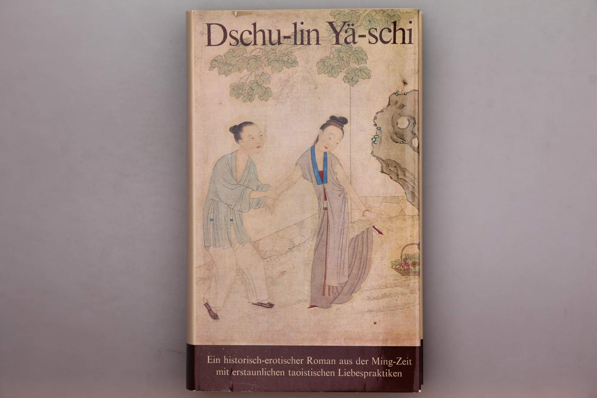 Dschu-Lin Yä-Schi Contemporary literature