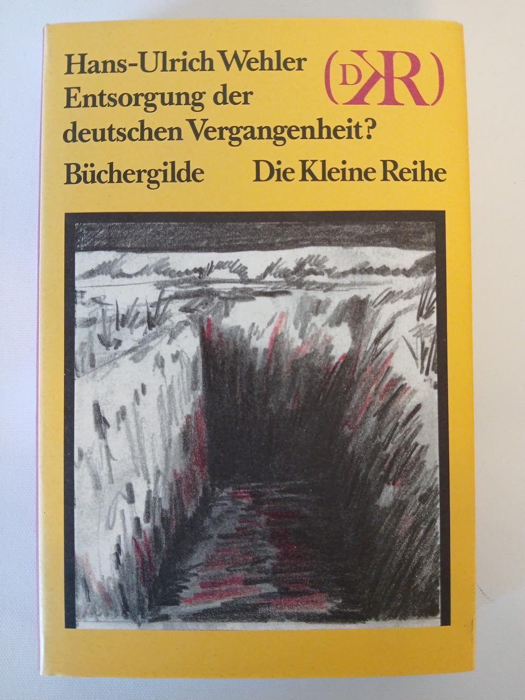 Entsorgung der deutschen Vergangenheit?. Ein polemischer Essay zum Historikerstreit (Die Kleine Reihe) Politics & History