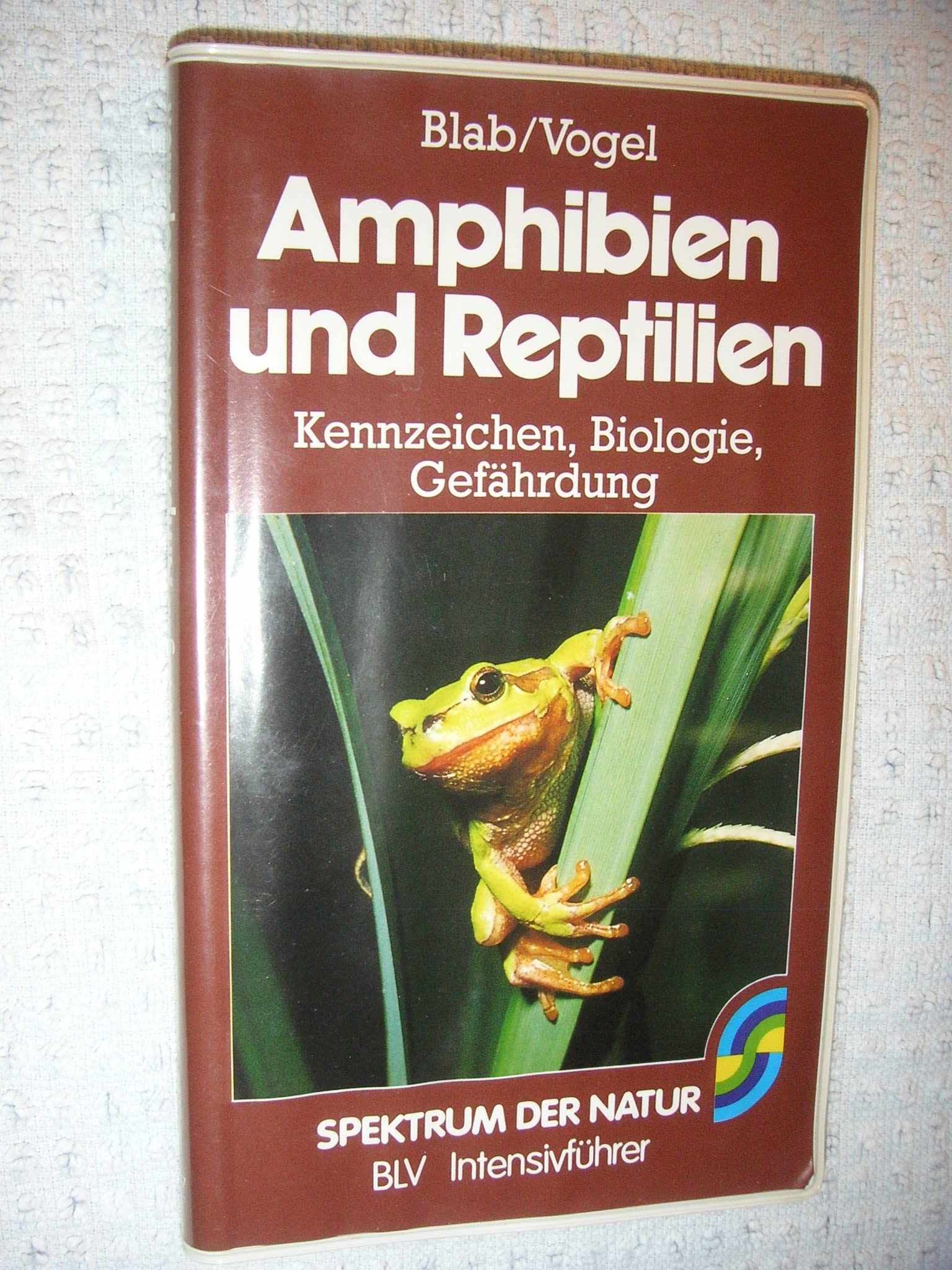 Amphibien und Reptilien - Kennzeichen, Biologie, Gefährdung. Spektrum der Natur. Books
