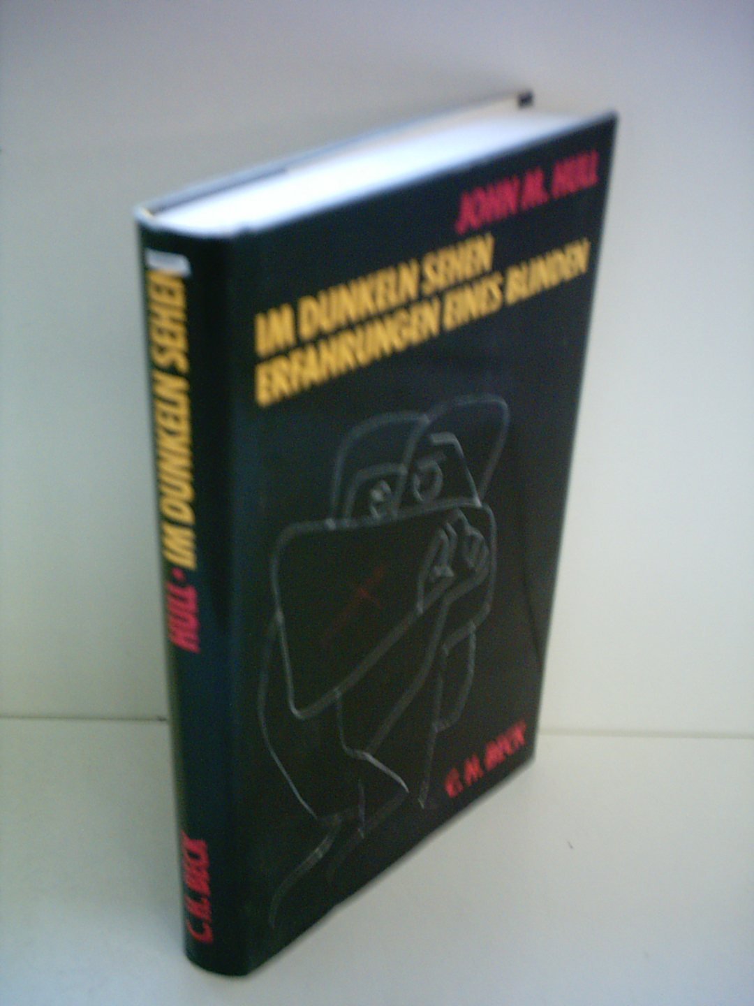 John M. Hull: Im Dunkeln sehen - Erfahrungen eines Blinden Books