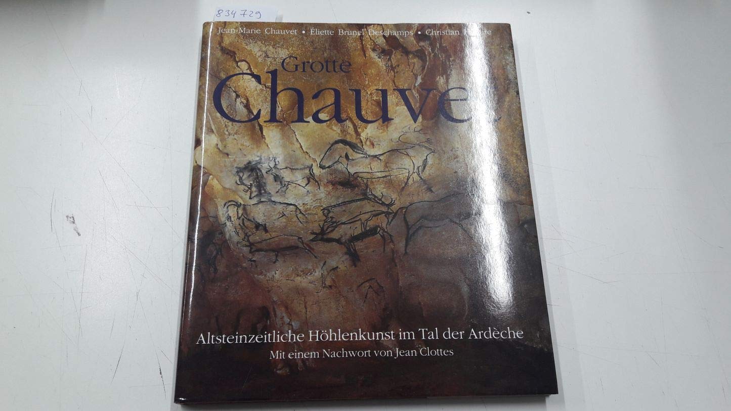 Grotte Chauvet - Altsteinzeitliche Höhlenkunst im Tal der Ardèche Books