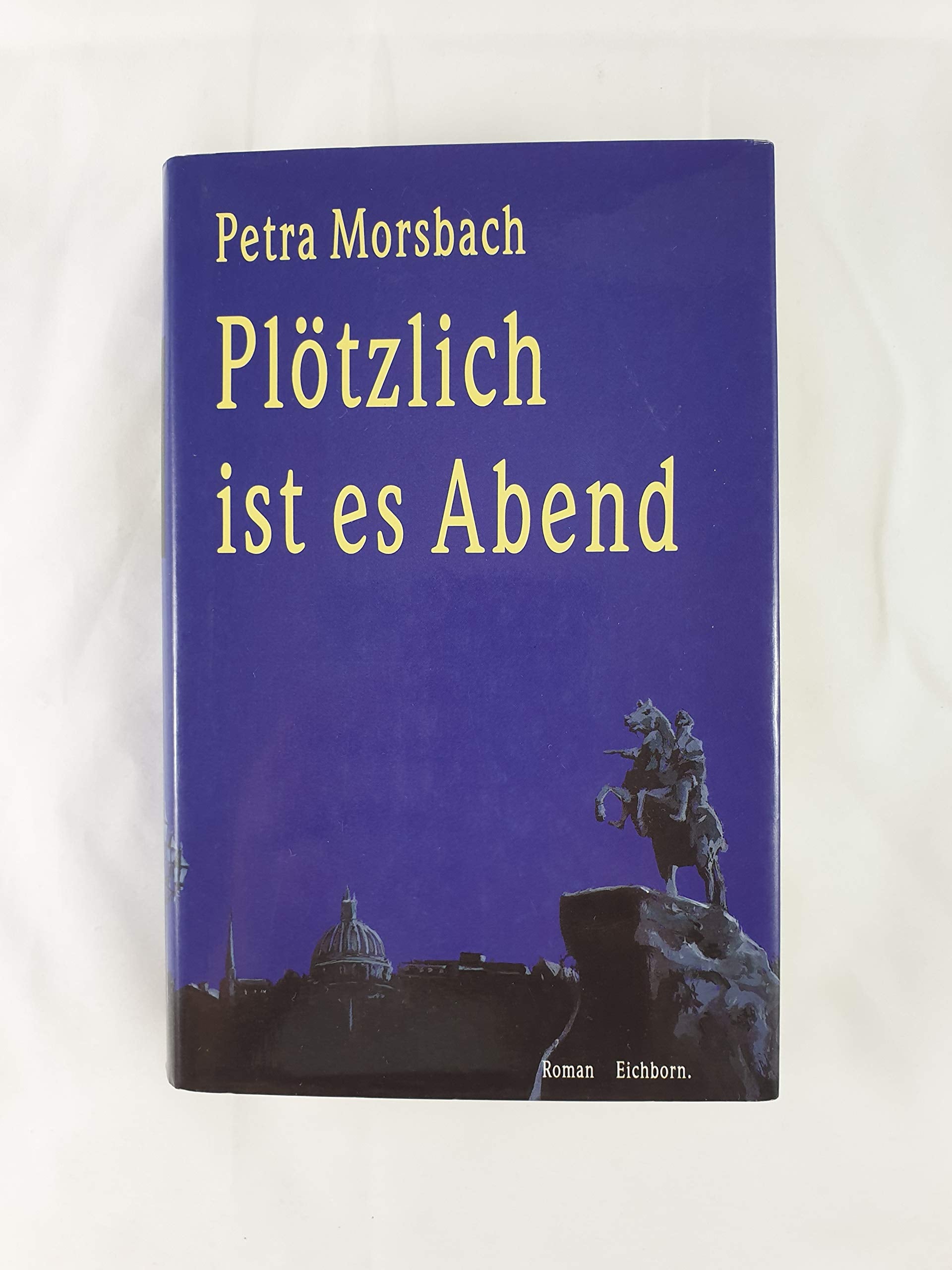 Plötzlich ist es Abend: Roman Contemporary literature
