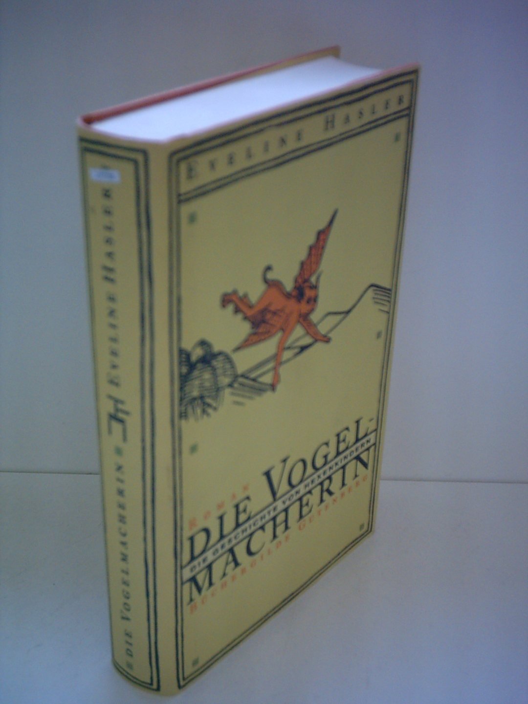 Eveline Hasler: Die Vogelmacherin - Die Geschichte von Hexenkindern Books