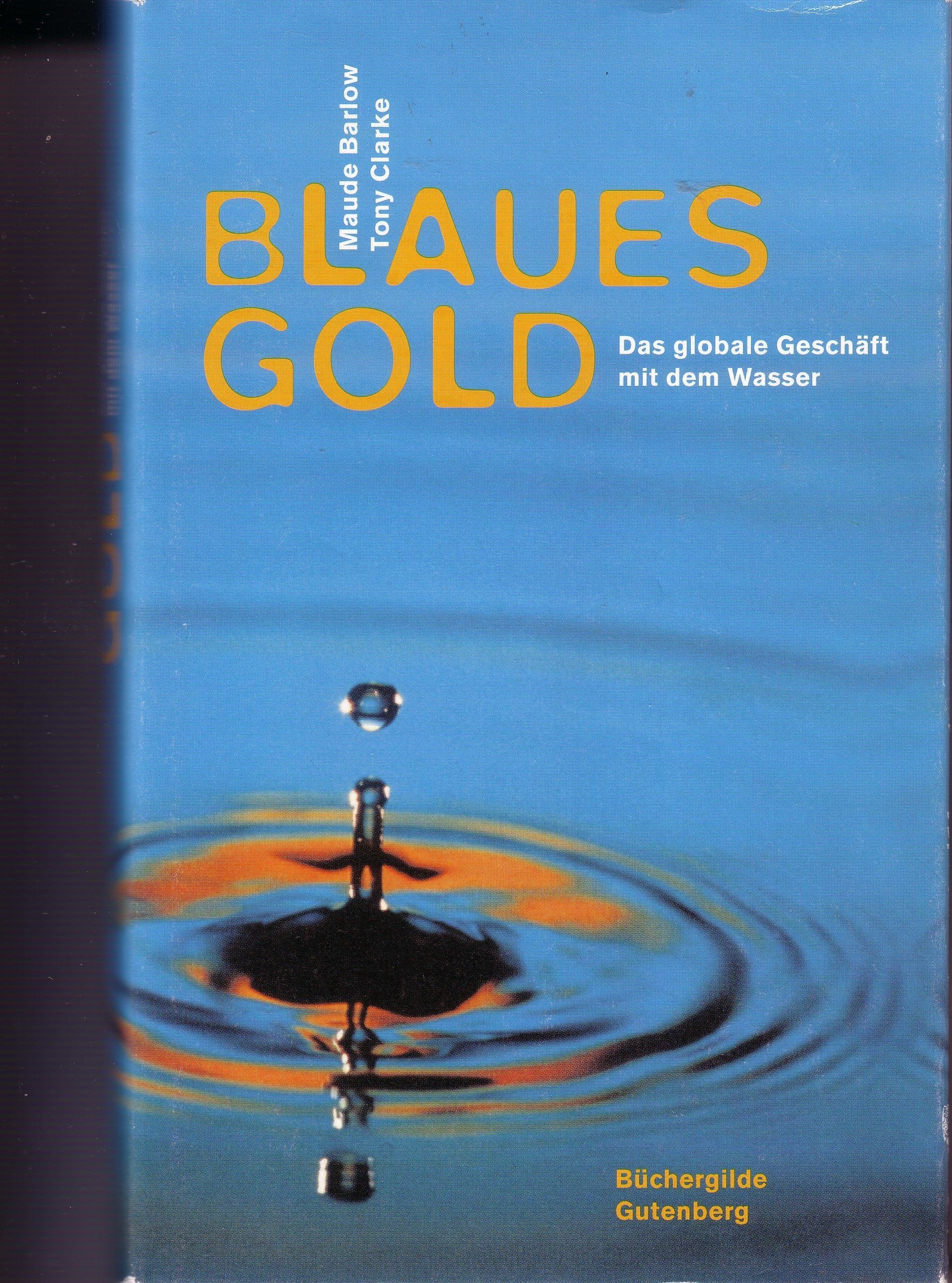 Blaues Gold. Das globale Geschäft mit dem Wasser Politics & Society