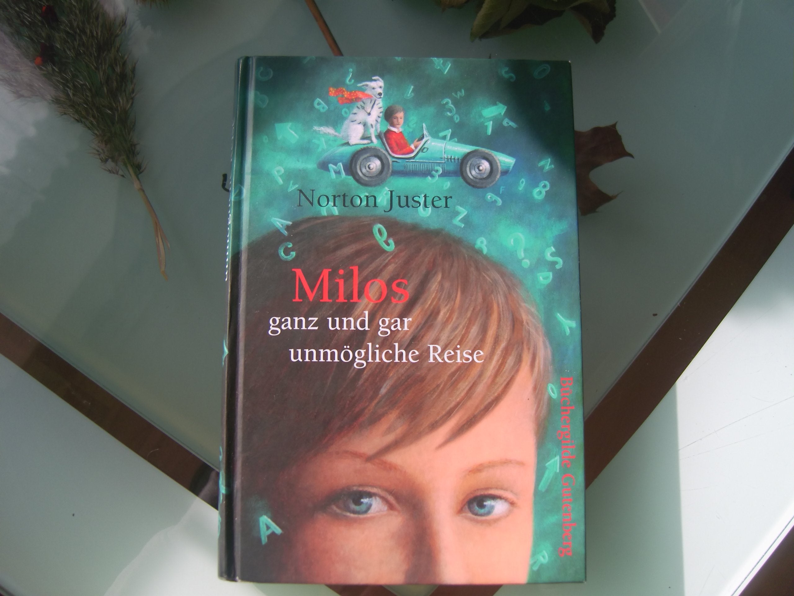 Milos ganz und gar unmögliche Reise. Fiction