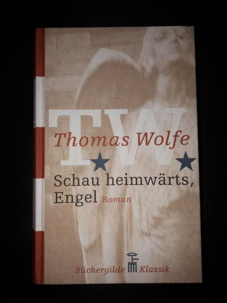 Schau heimwärts, Engel. Eine Geschichte vom begrabenen Leben. Roman. Books